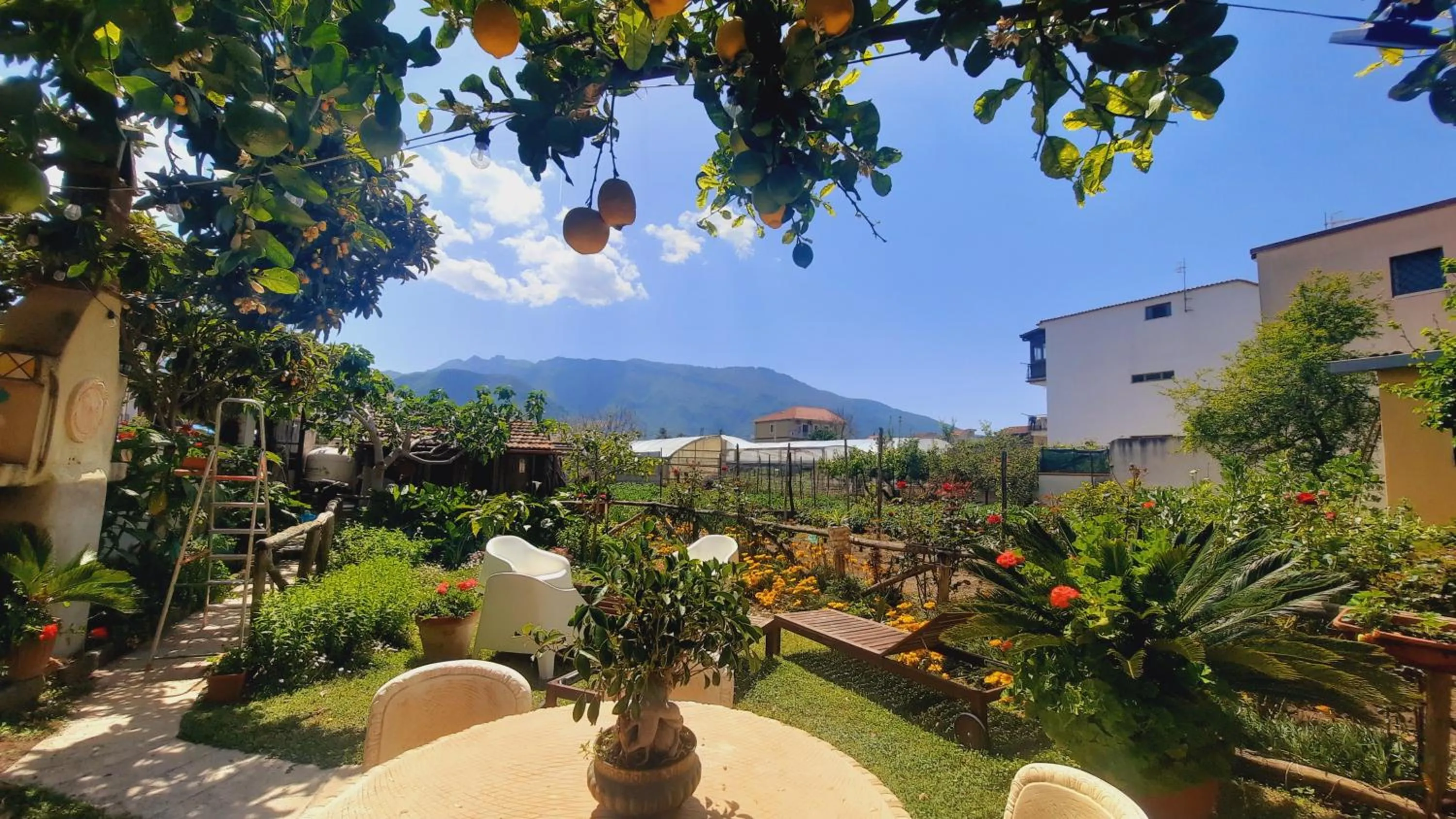 Garden in Buonocore Rooms