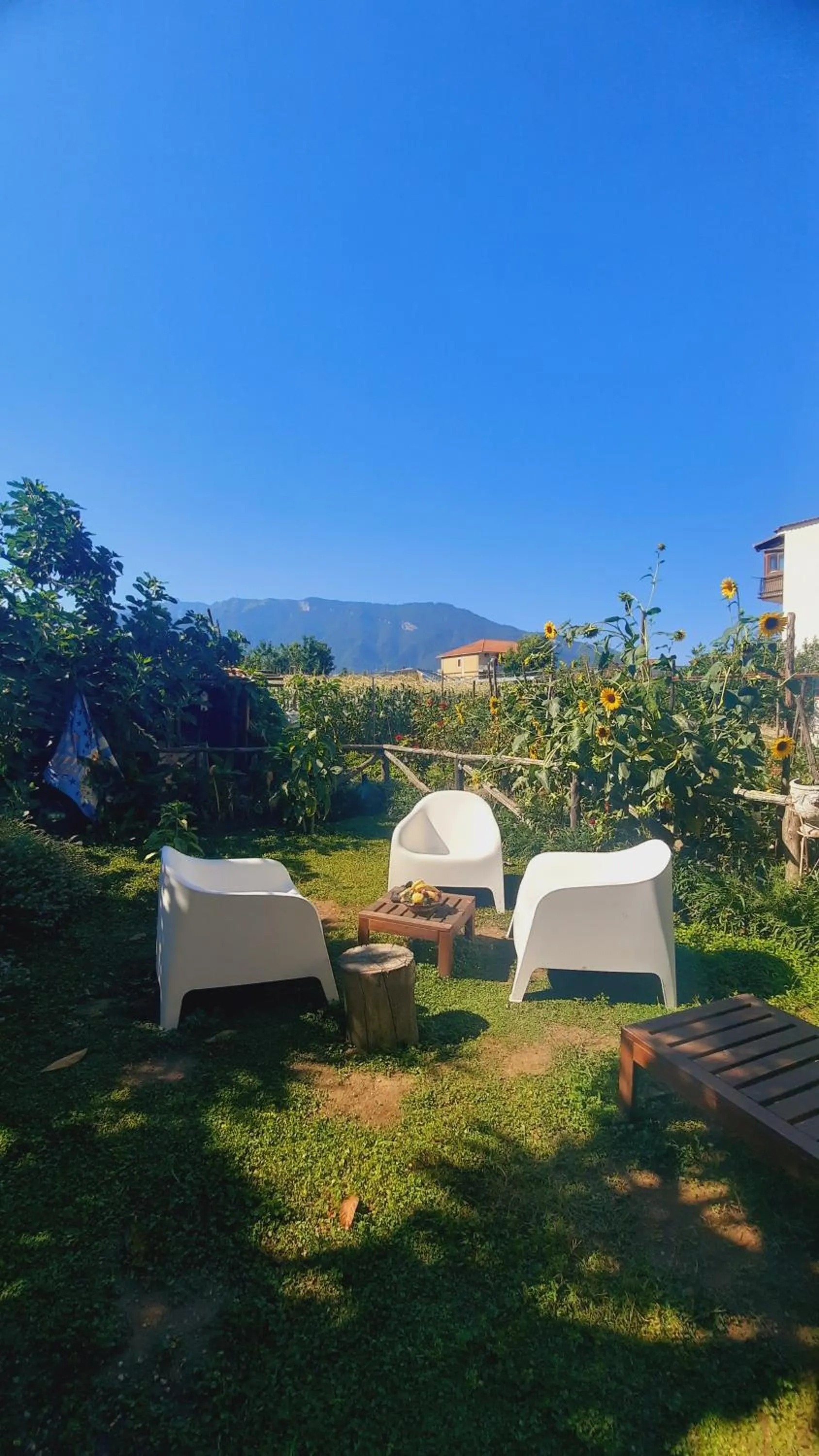 Balcony/Terrace in Buonocore Rooms