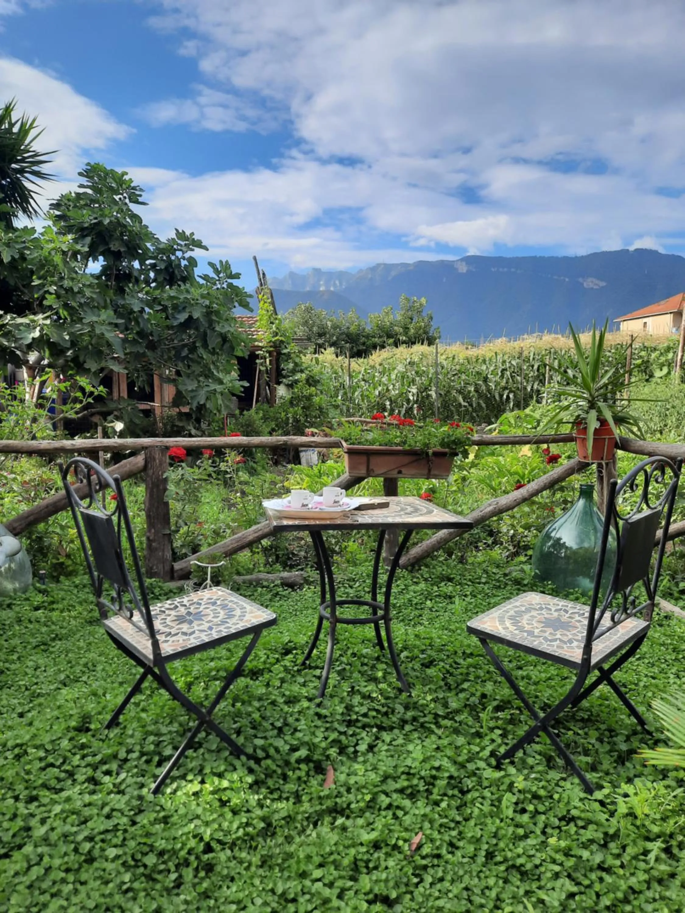 Patio in Buonocore Rooms