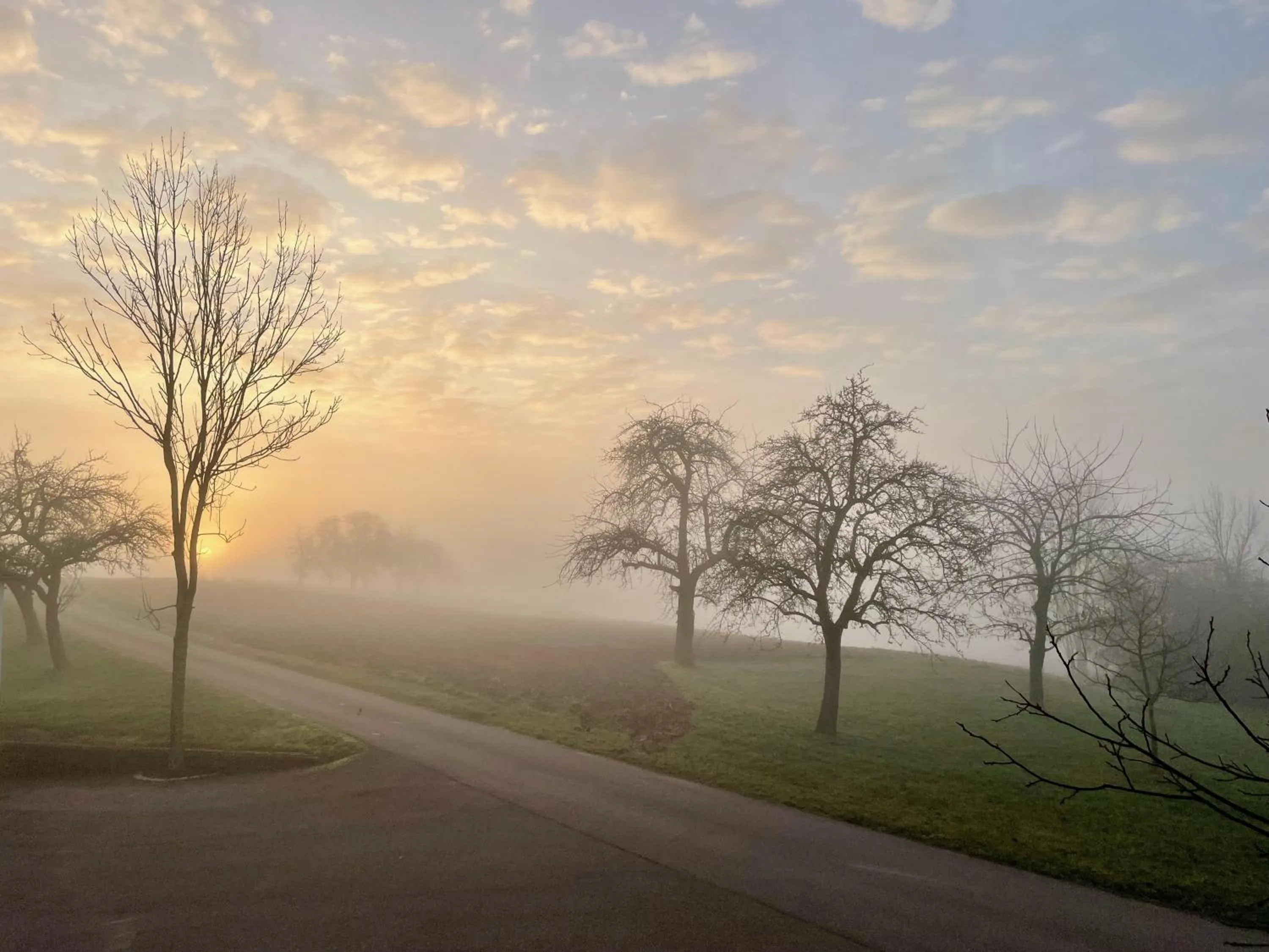 Property building in Landhotel Steigenhaus