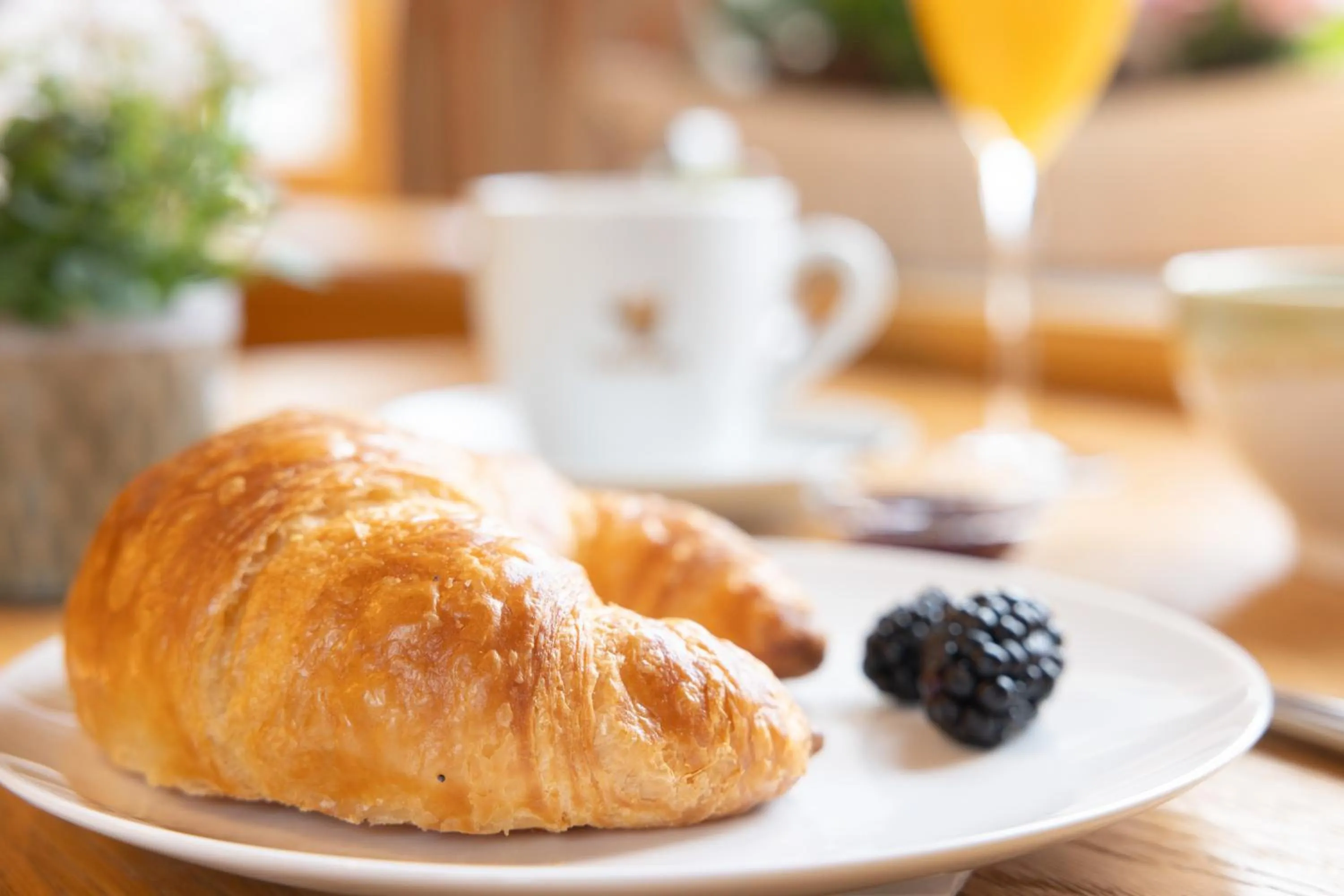 Breakfast in Landhotel Steigenhaus