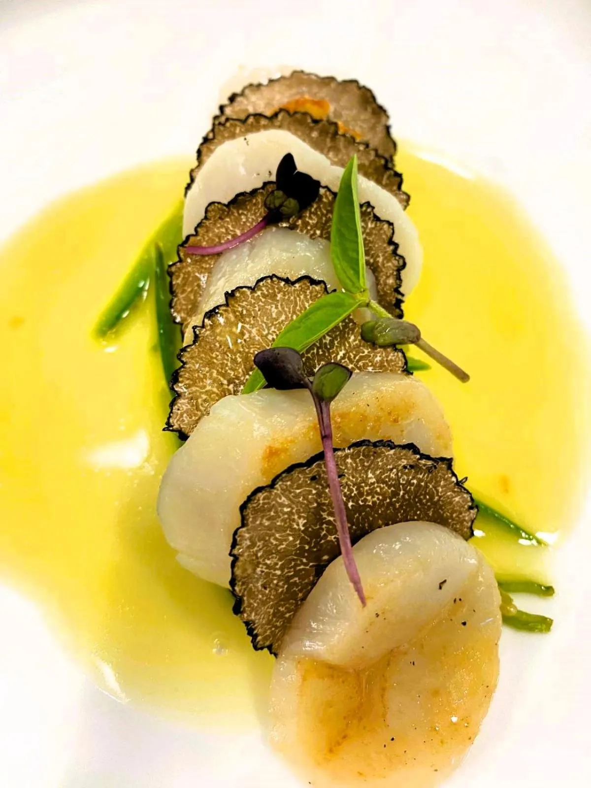 Restaurant/places to eat in Landhotel Steigenhaus