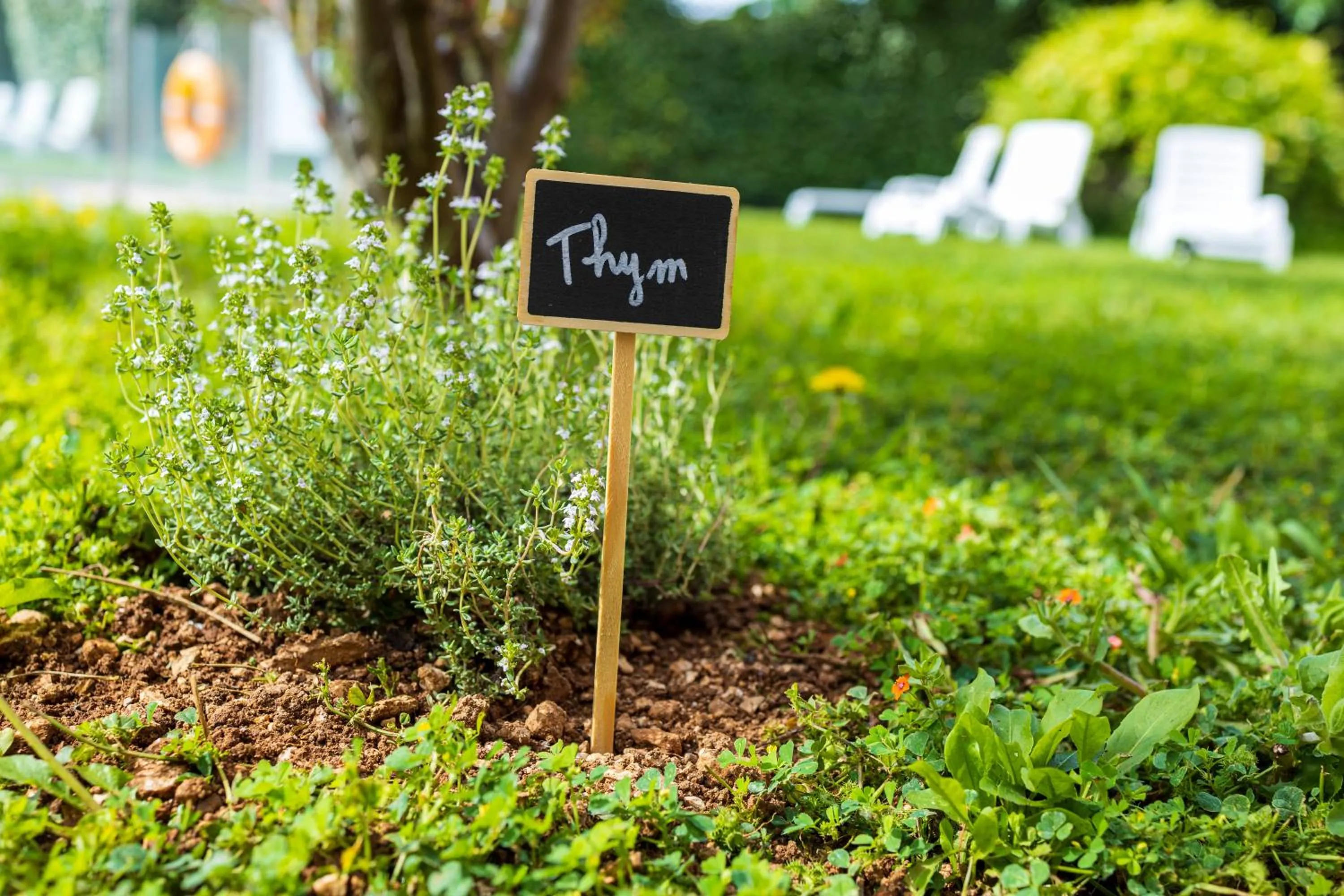 Spring in Noemys Toulon La Valette - Hotel restaurant avec piscine