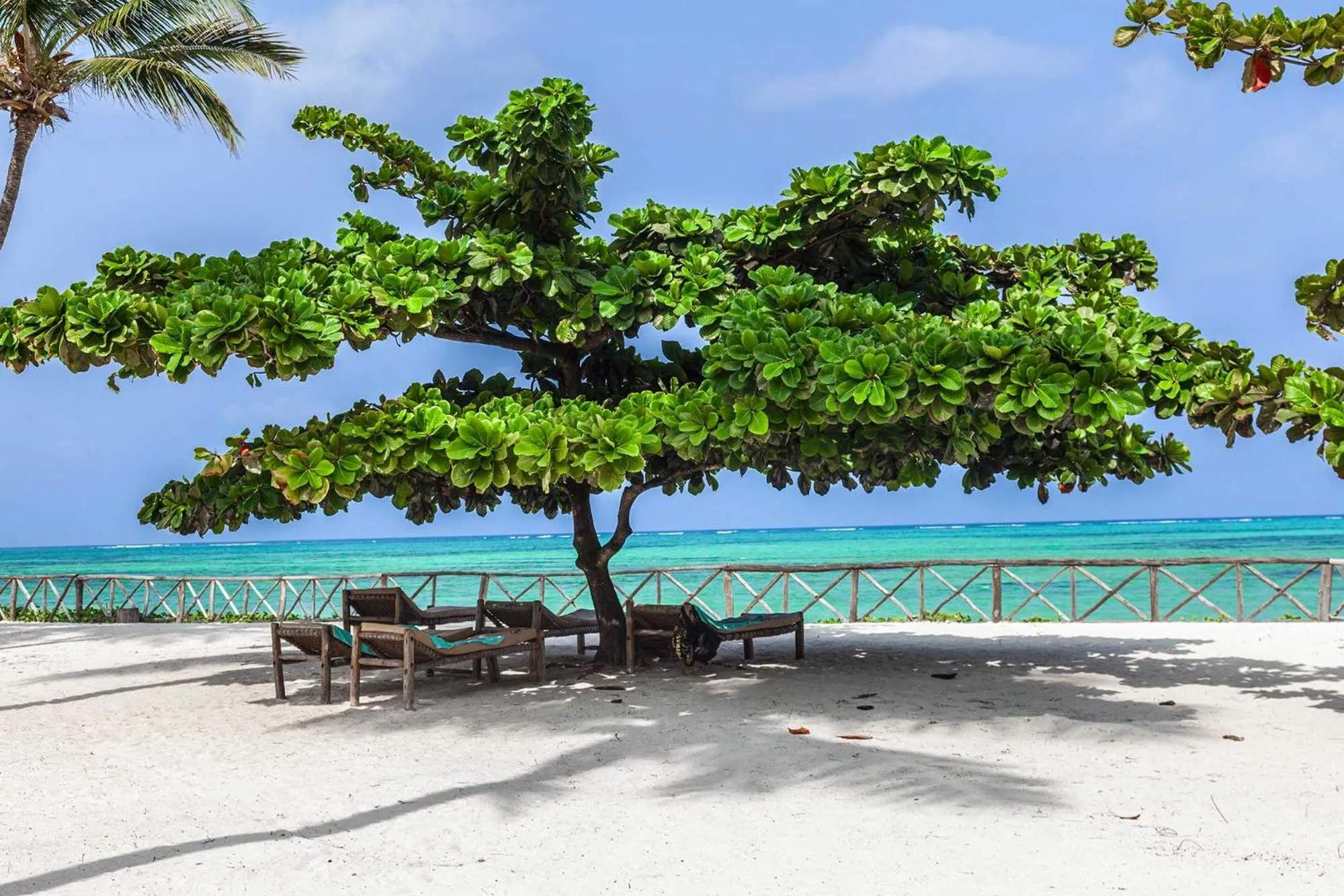 Beach in VRclub Paje Palms Beach Resort