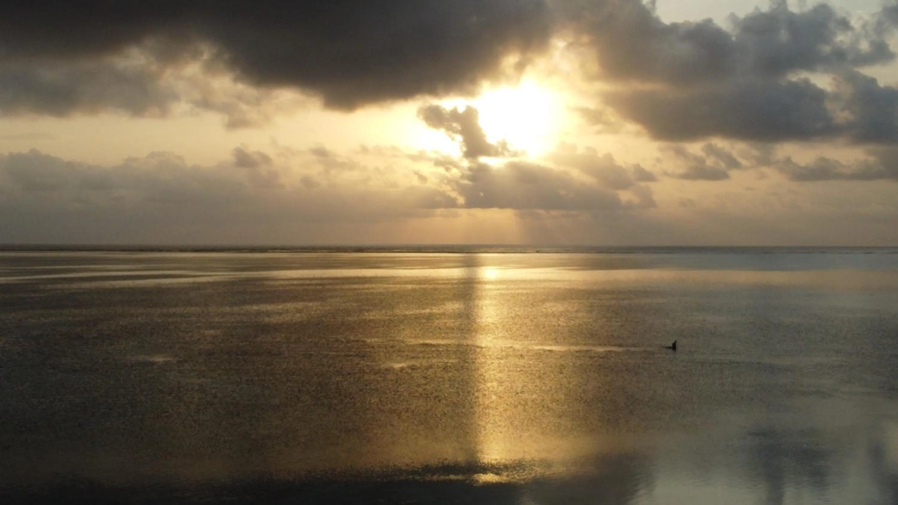 Sea view in VRclub Paje Palms Beach Resort