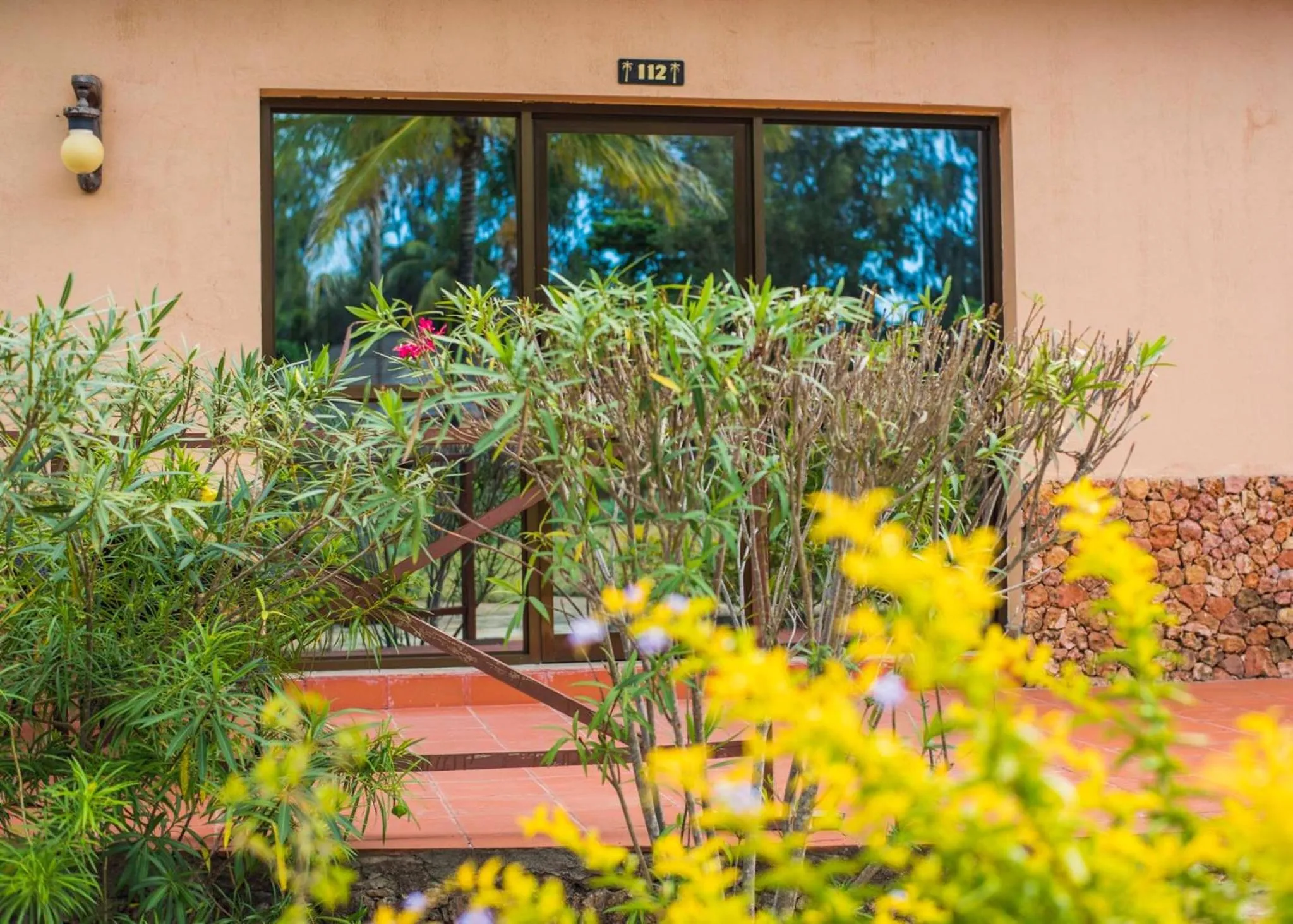 Garden in VRclub Paje Palms Beach Resort