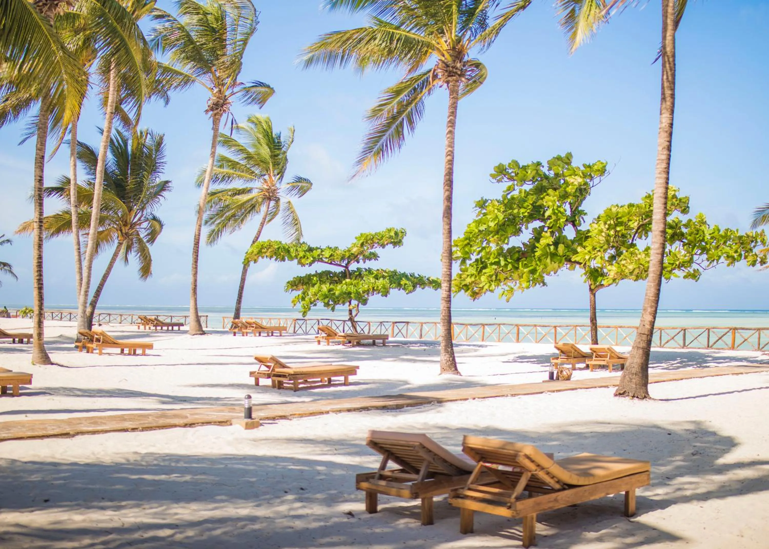 Beach in VRclub Paje Palms Beach Resort