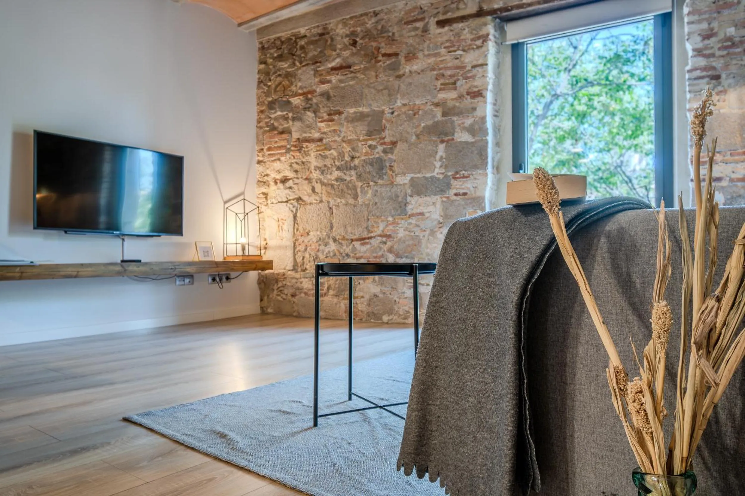 Living room in Flateli -Plaça Catalunya 3-2