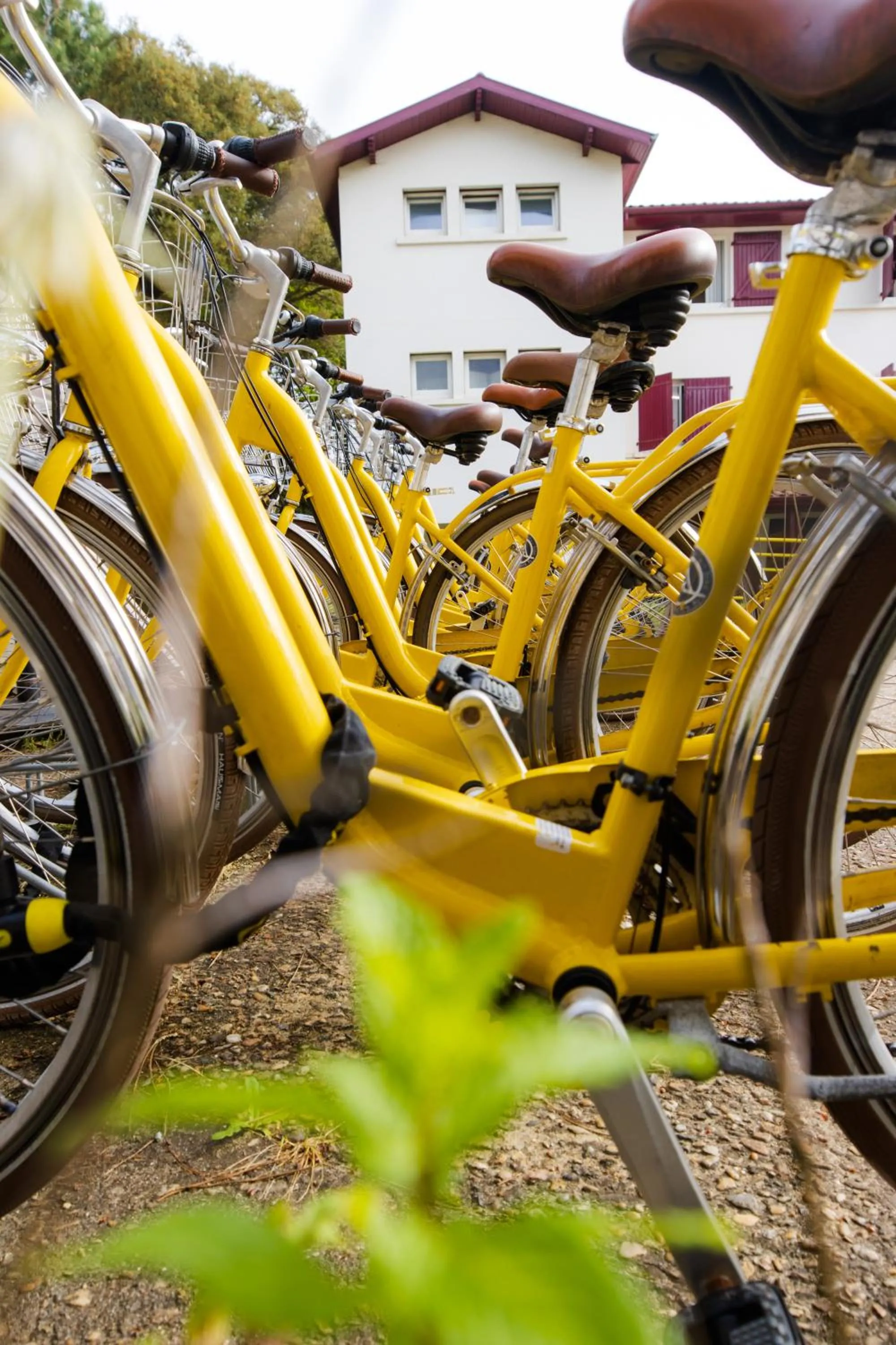 Cycling in JO&JOE Hossegor