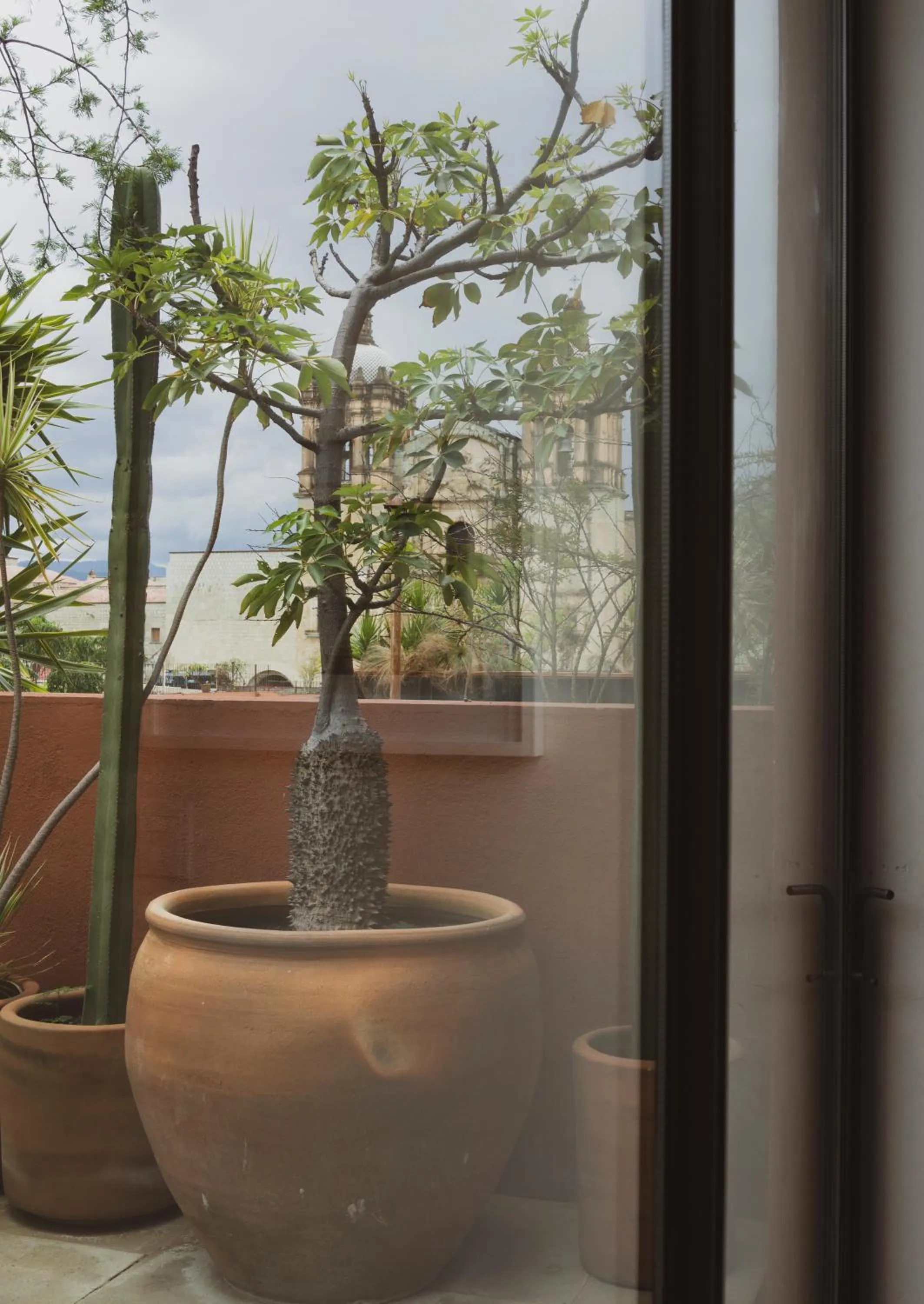 Photo of the whole room in Hotel Los Amantes