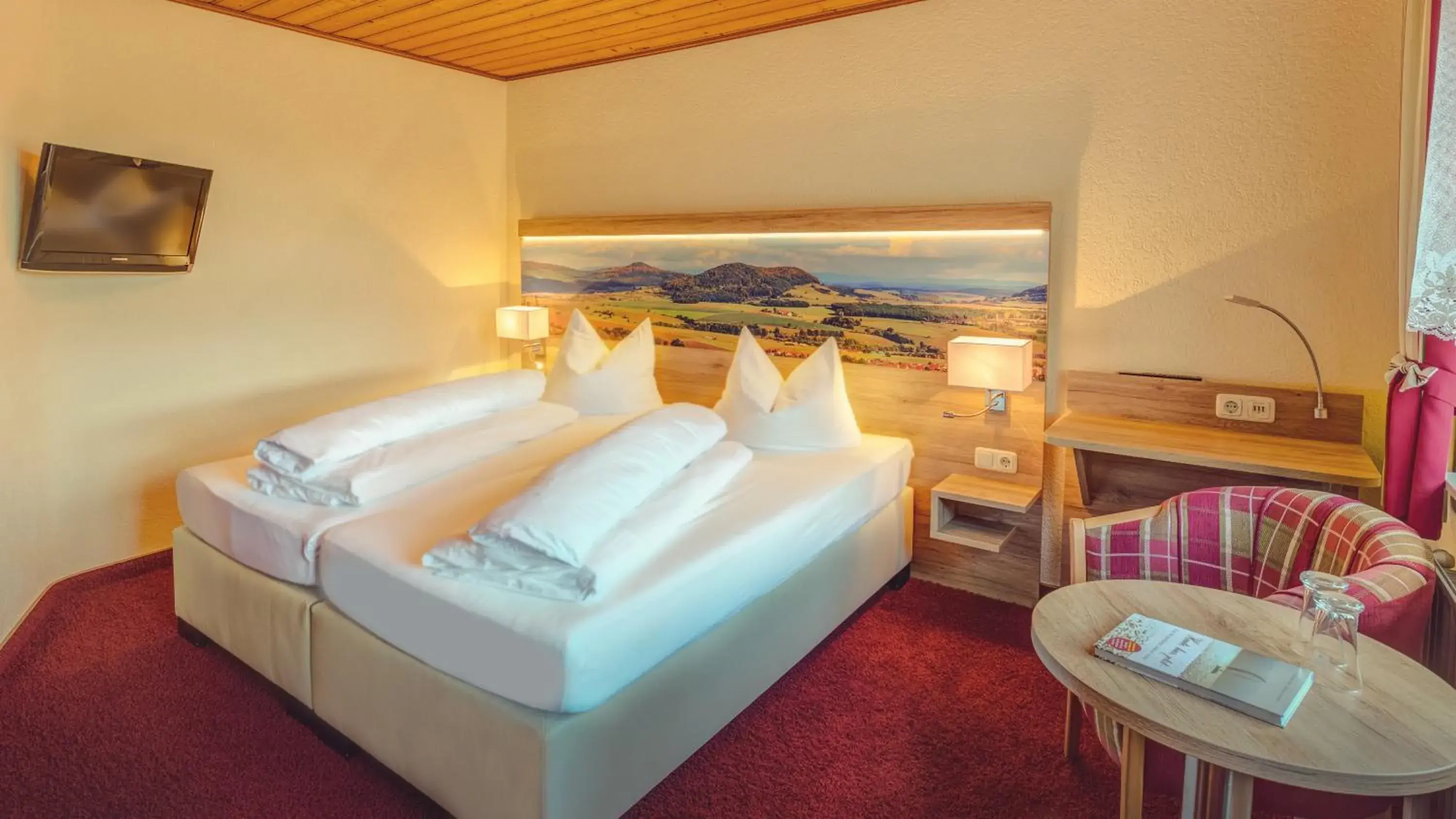 Double Room - single occupancy in Landhotel Zur Grünen Kutte Double Room - single occupancy in Landhotel Zur Grünen Kutte