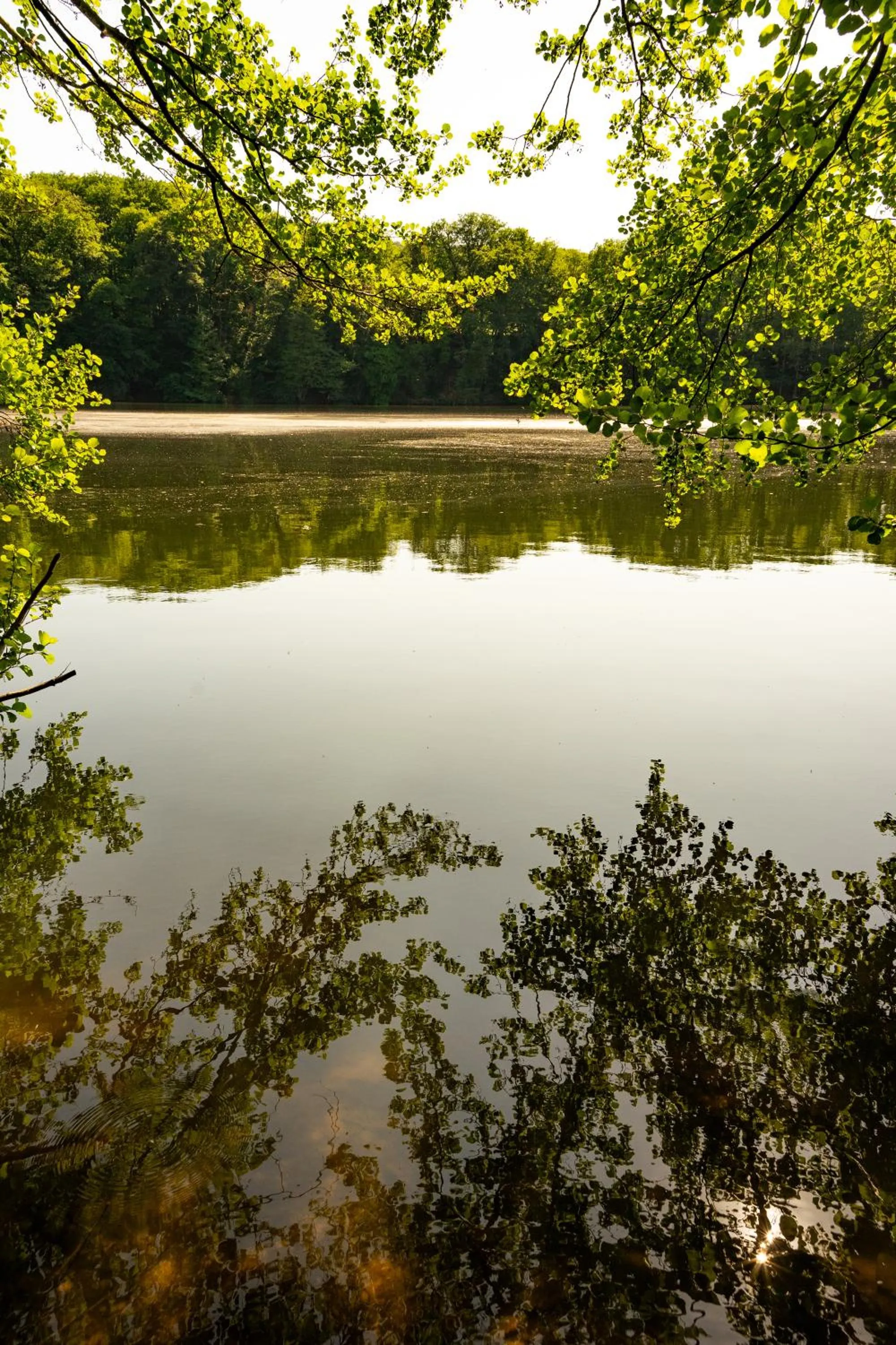 Nearby landmark in Landhotel Zur Grünen Kutte