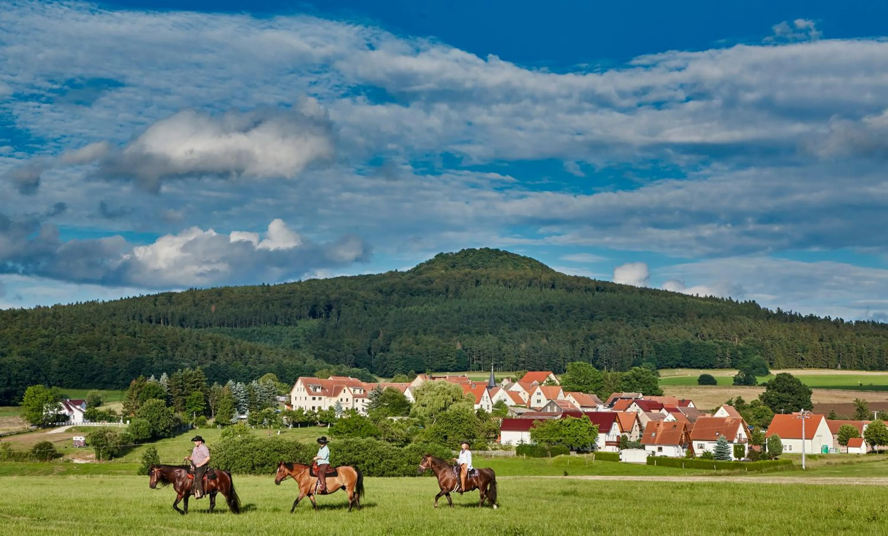Natural landscape in Landhotel Zur Grünen Kutte