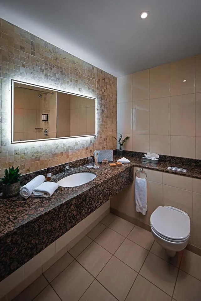 Toilet in Carlton Hotel Dublin Airport