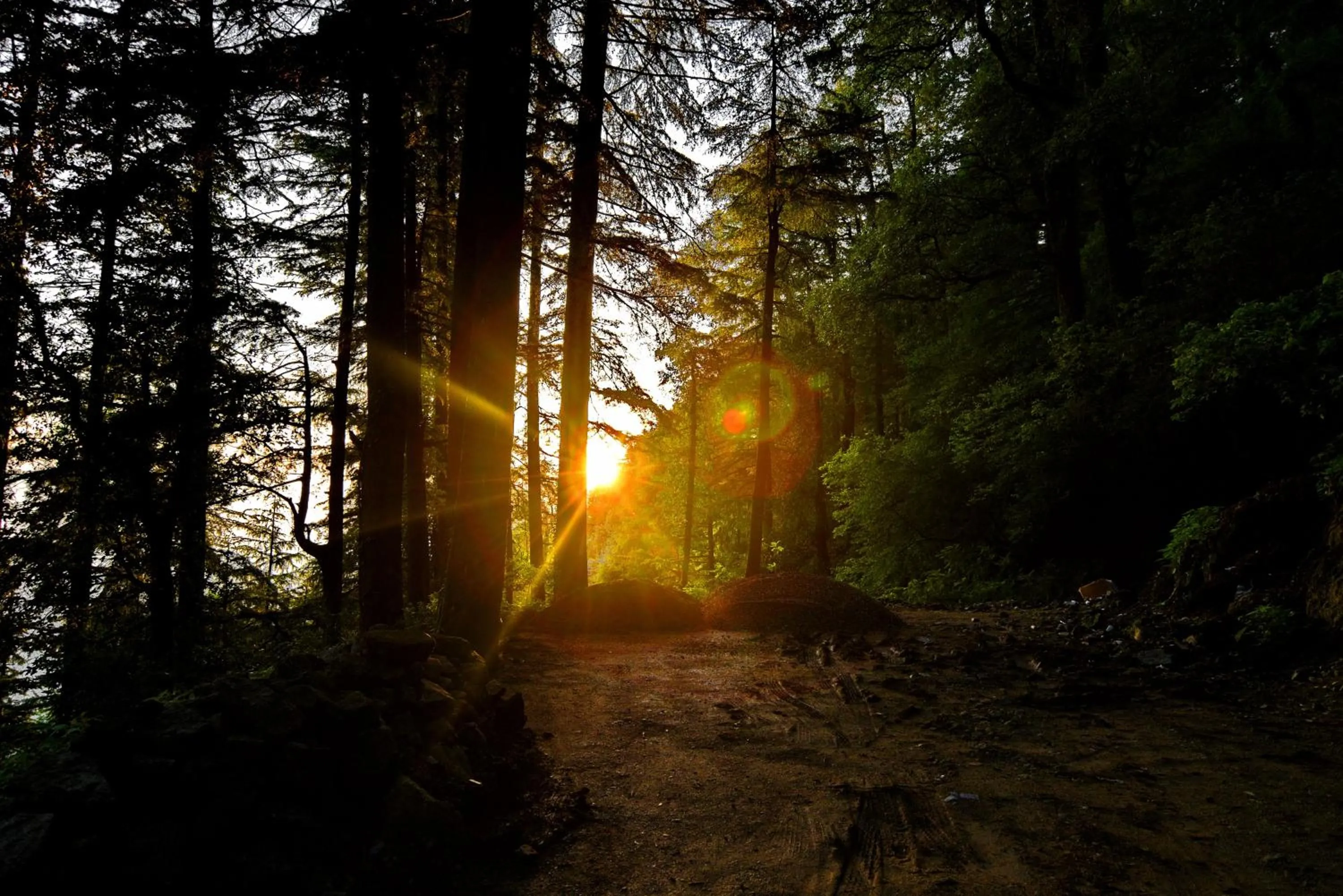 Natural landscape in Brij Villa, Dalhousie - A Colonial Luxury Retreat