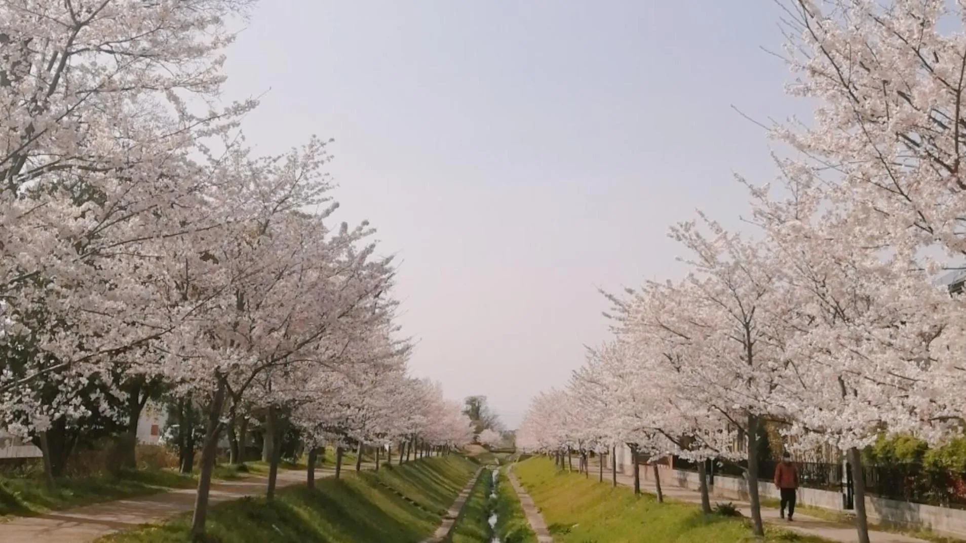Nearby landmark in Vessel Inn Shigamoriyama Station