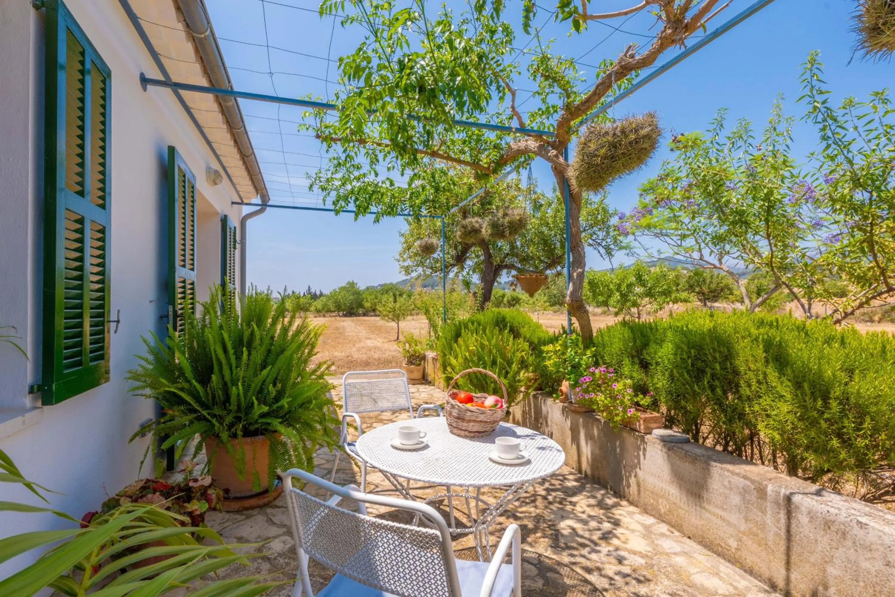 Ses Planes -Ca Na Faustina-