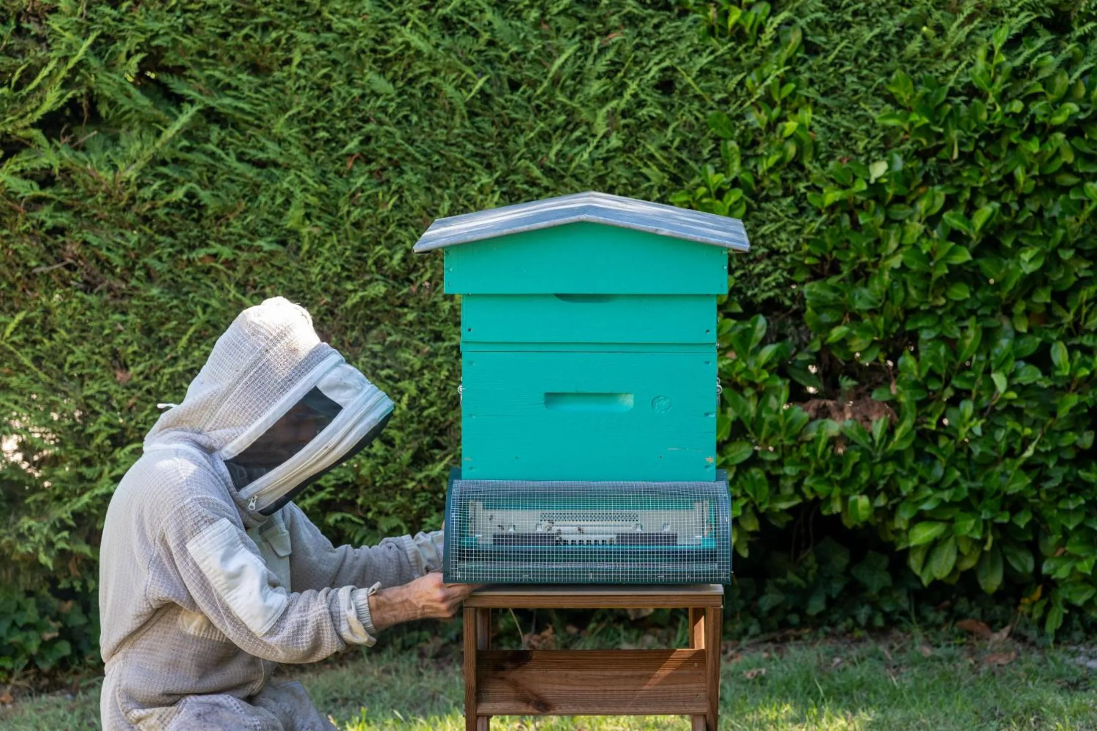 Garden in Hôtel des Trois Massifs