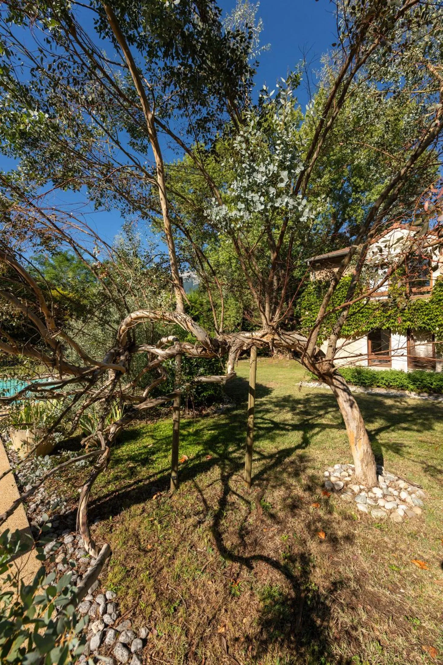 Garden in Hôtel des Trois Massifs