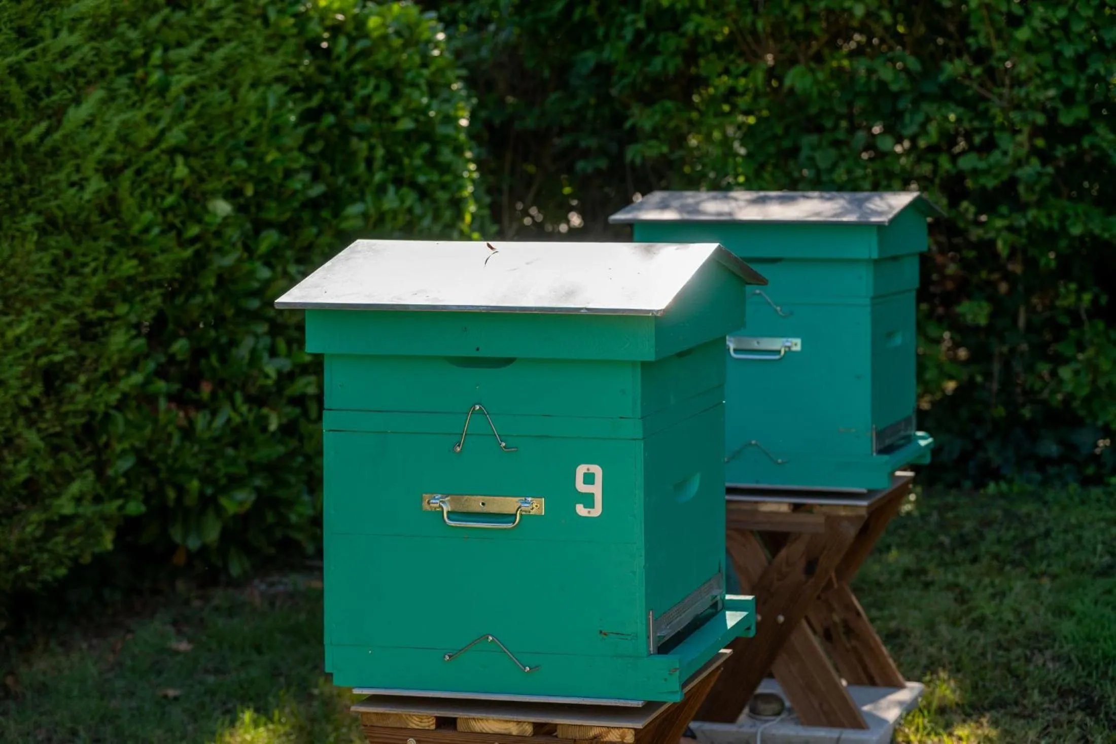 Garden in Hôtel des Trois Massifs