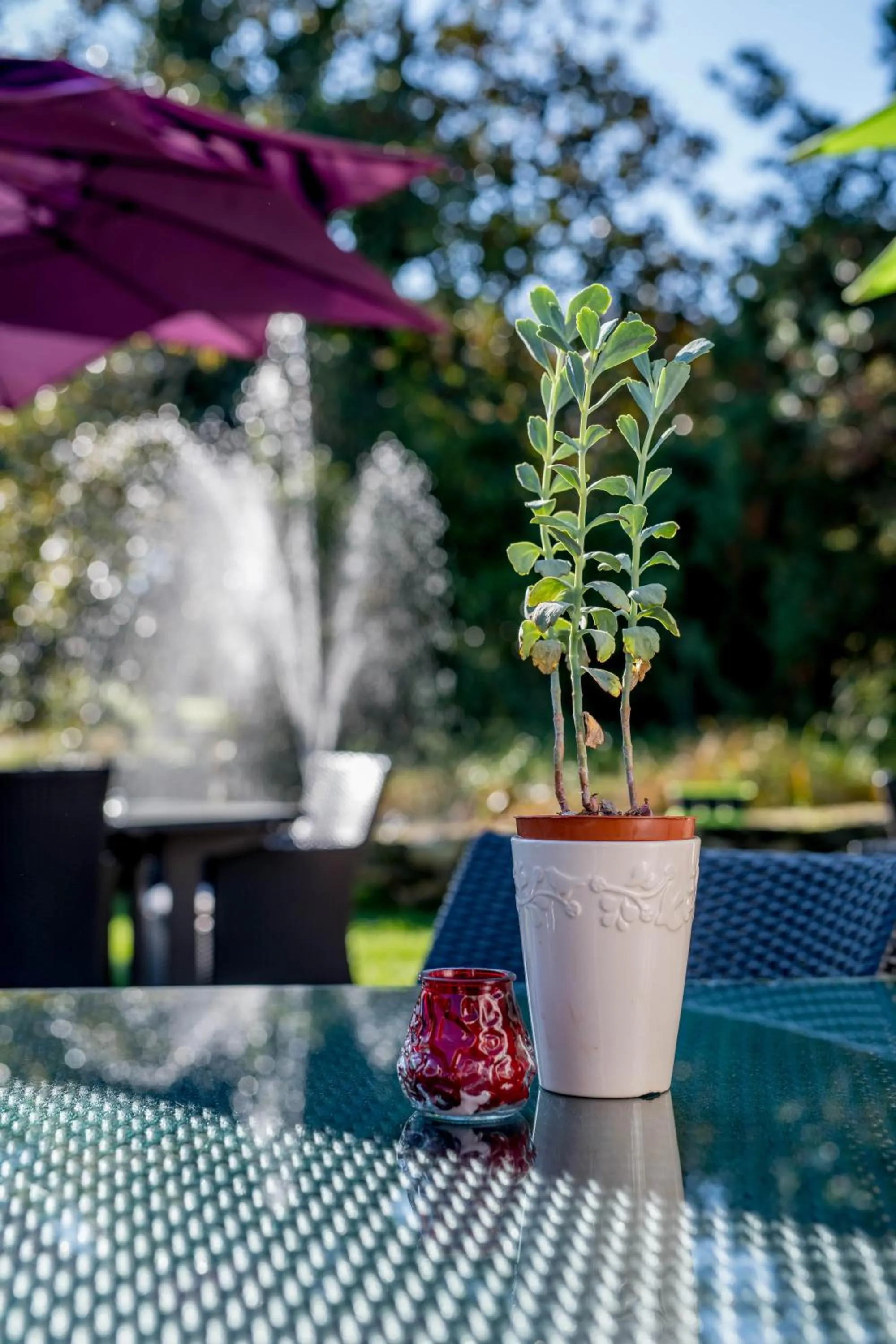 Balcony/Terrace in Logis Hôtels- Hôtel et Restaurant Domaine de Fompeyre
