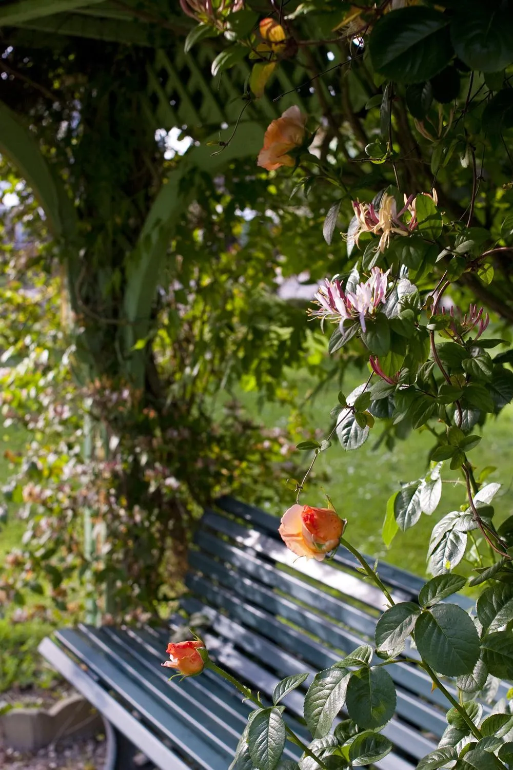 Patio in Logis Hôtels- Hôtel et Restaurant Domaine de Fompeyre
