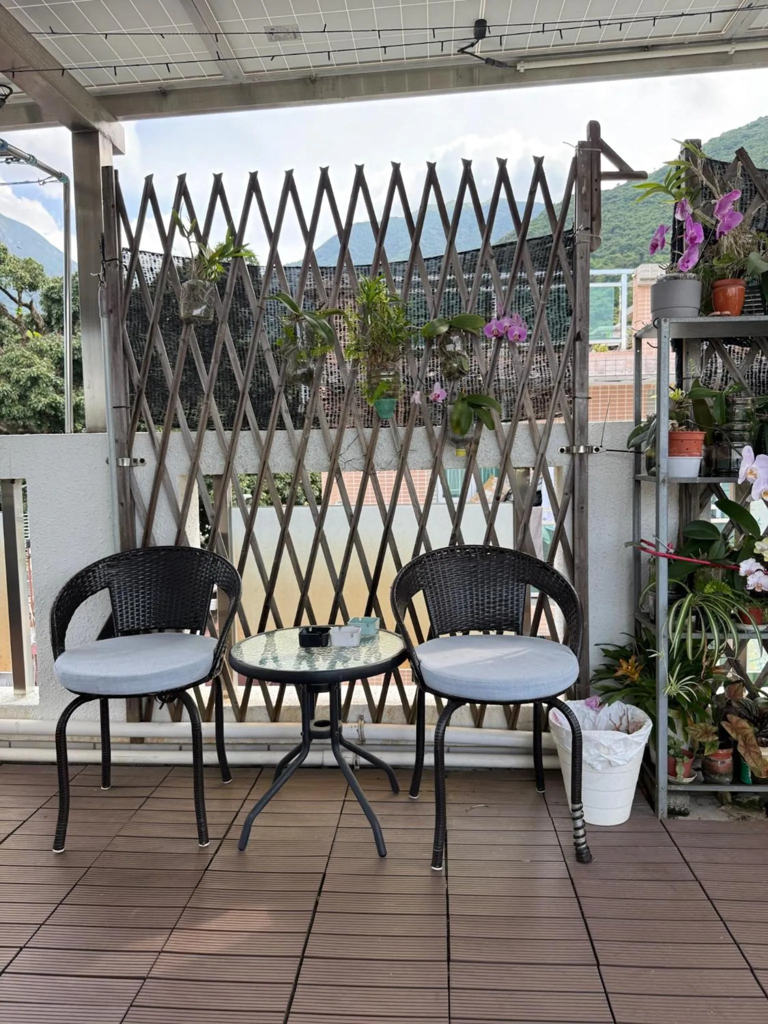 City Oasis Guesthouse