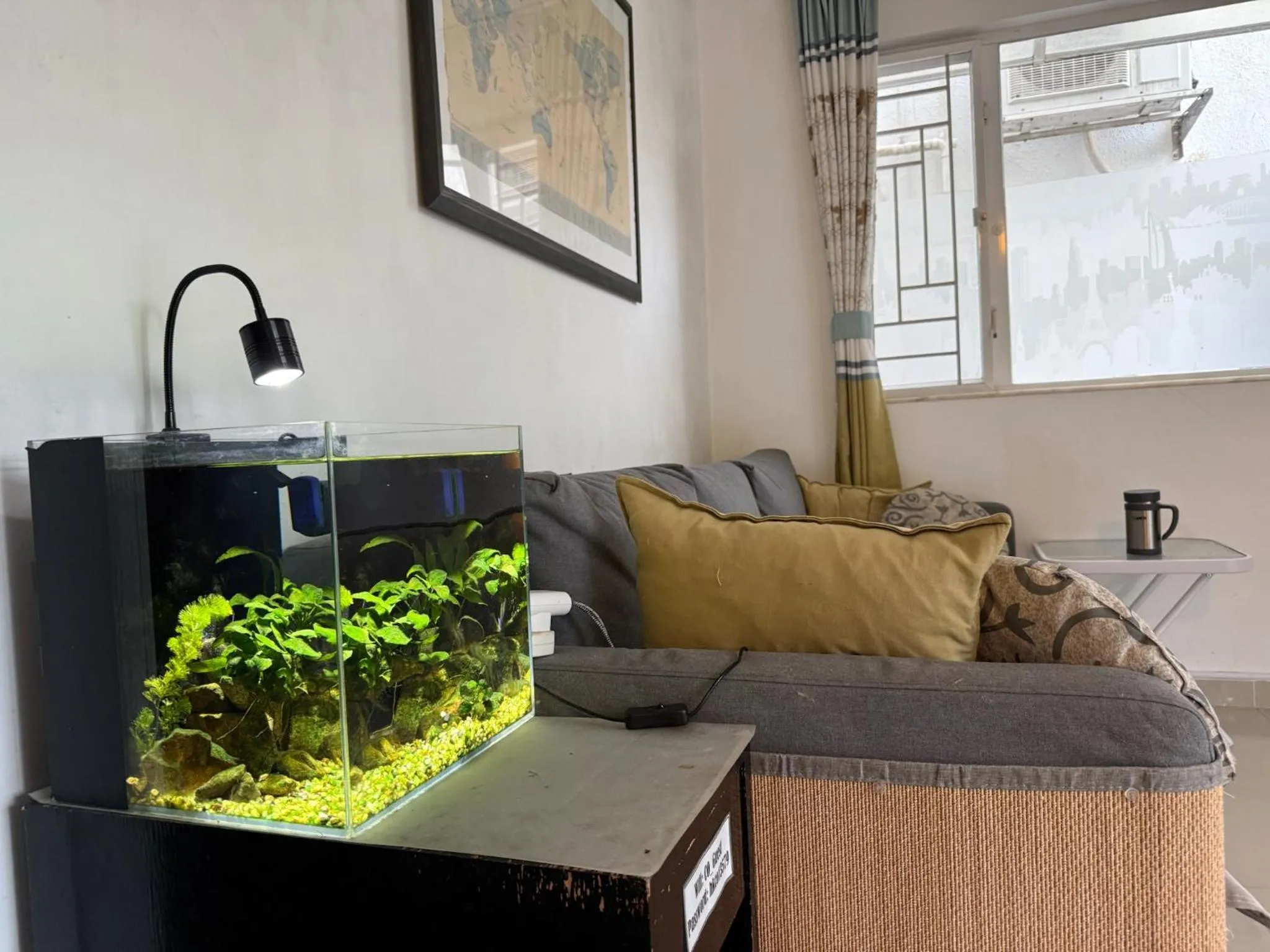 City Oasis Guesthouse