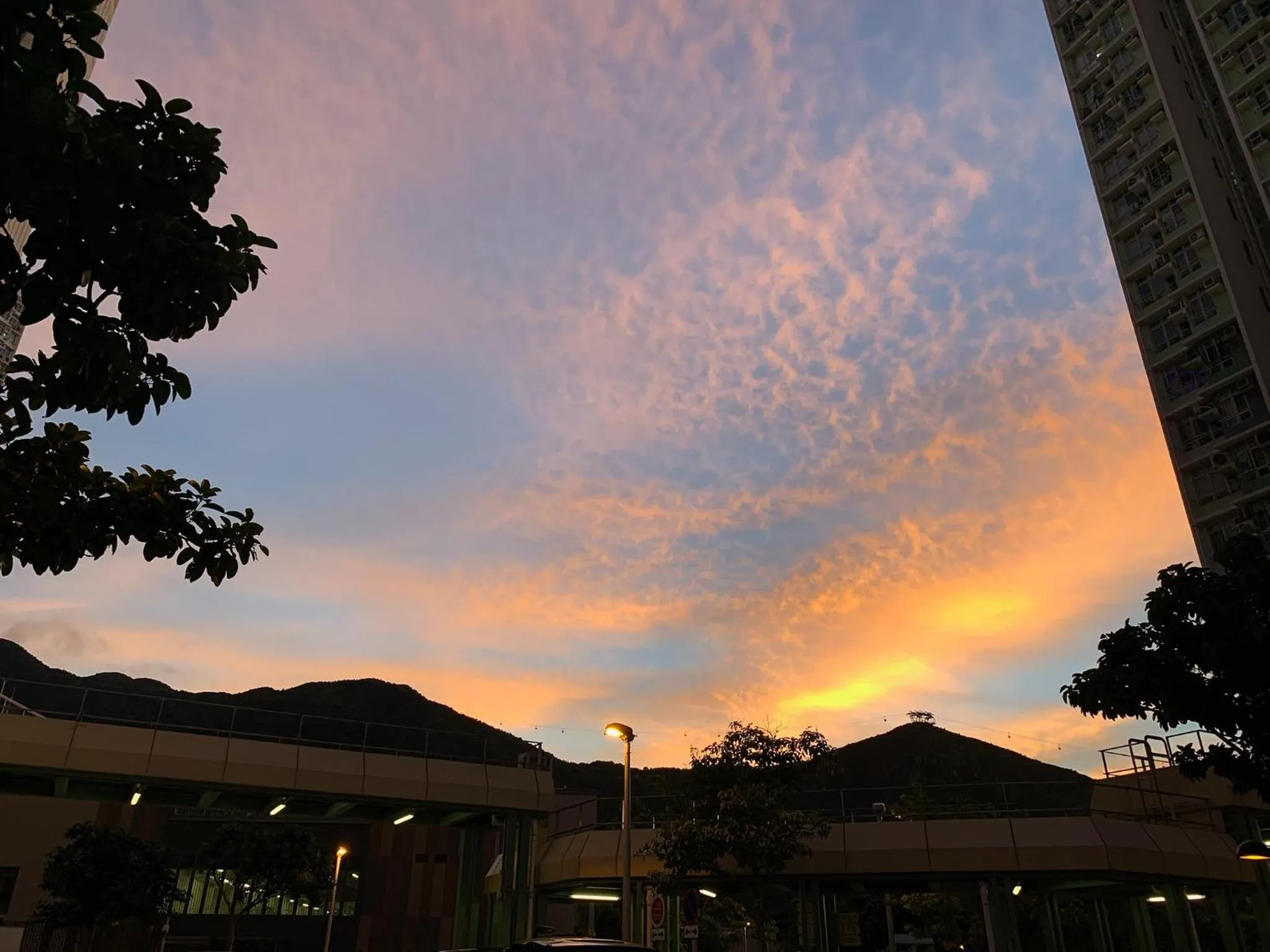 City Oasis Guesthouse