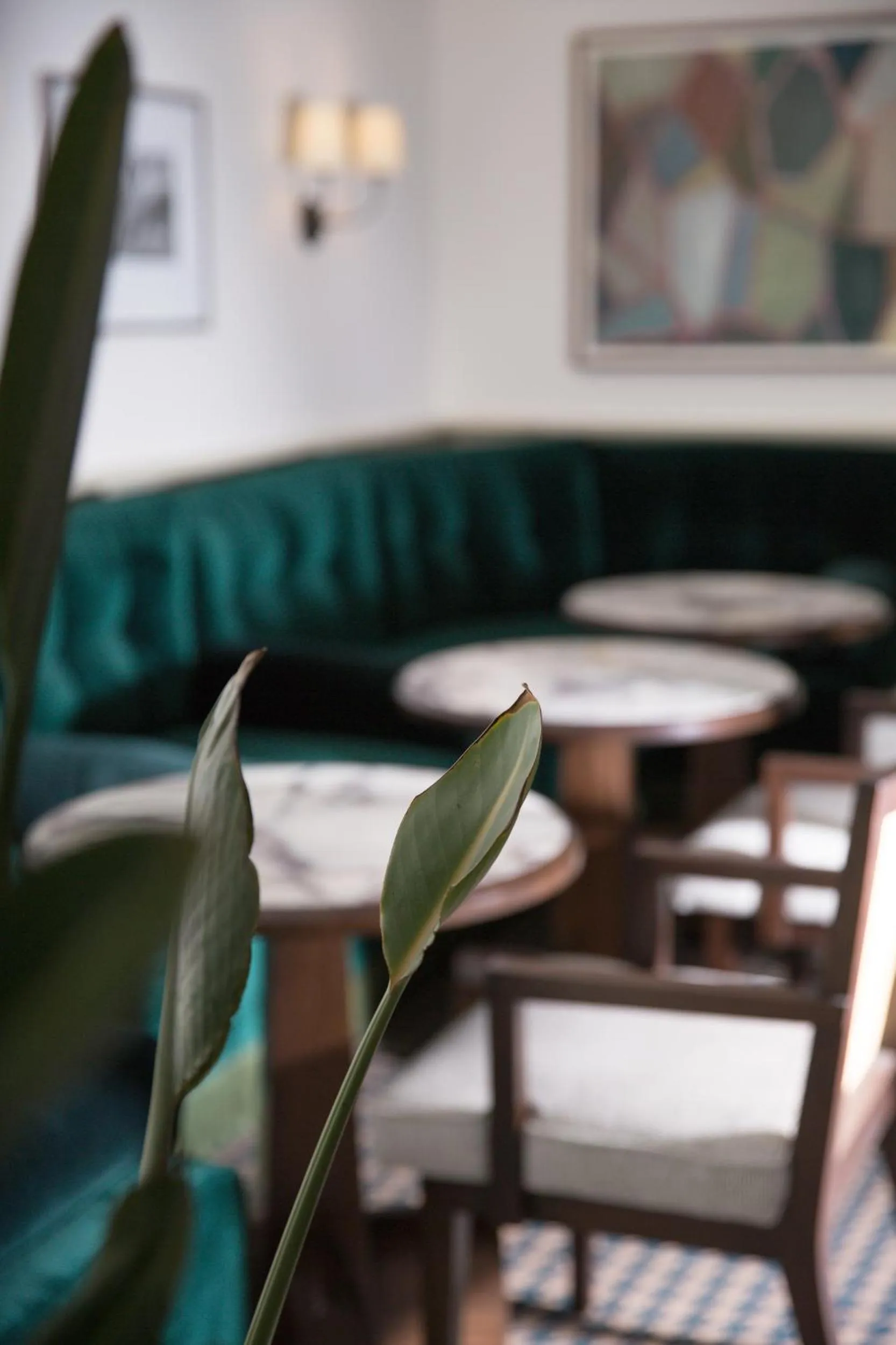 Restaurant/places to eat in Dart Marina Hotel