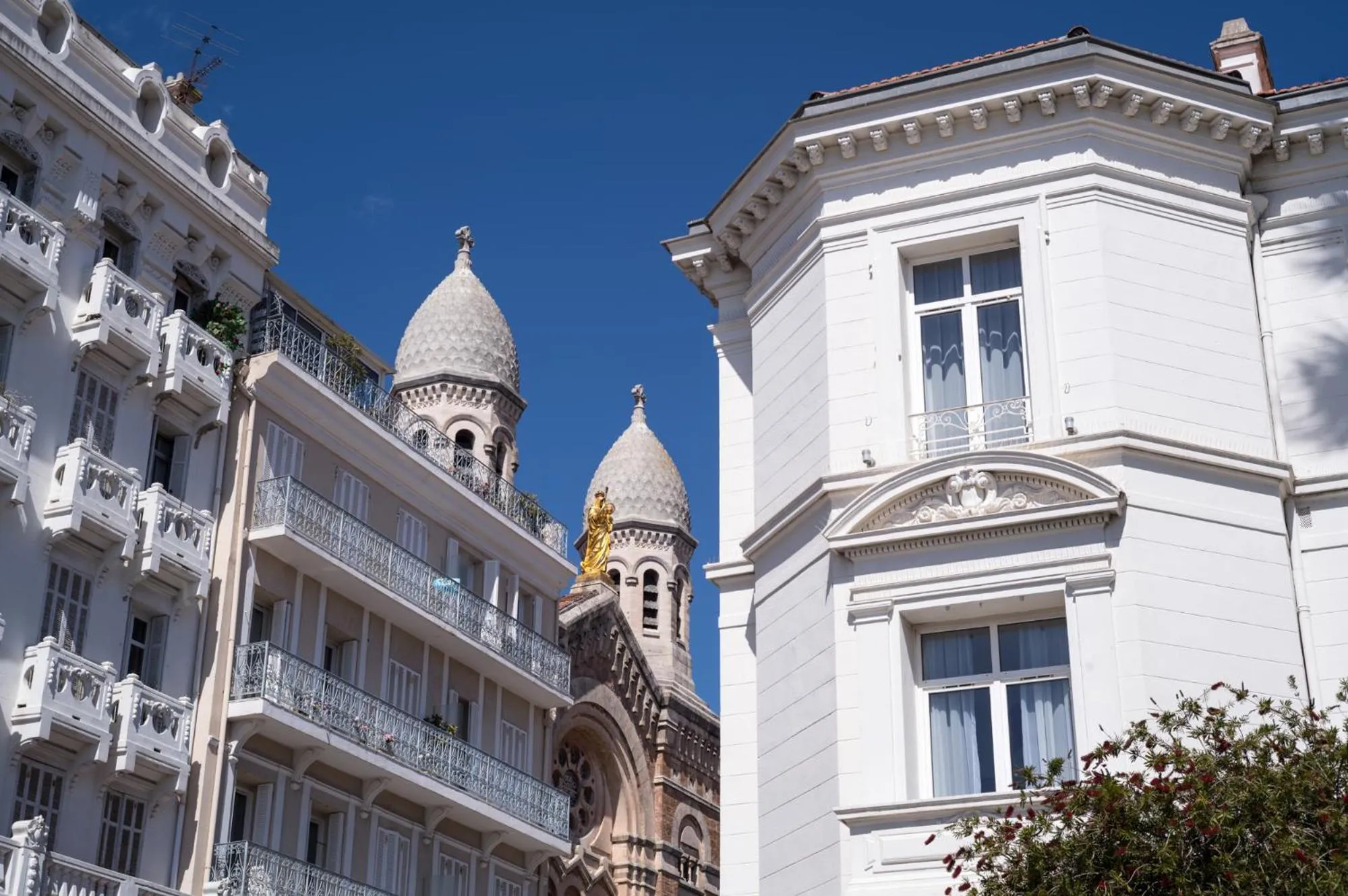 Property building in Excelsior