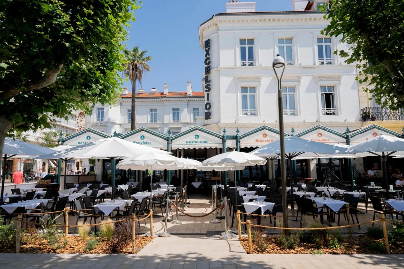 Property building in Excelsior