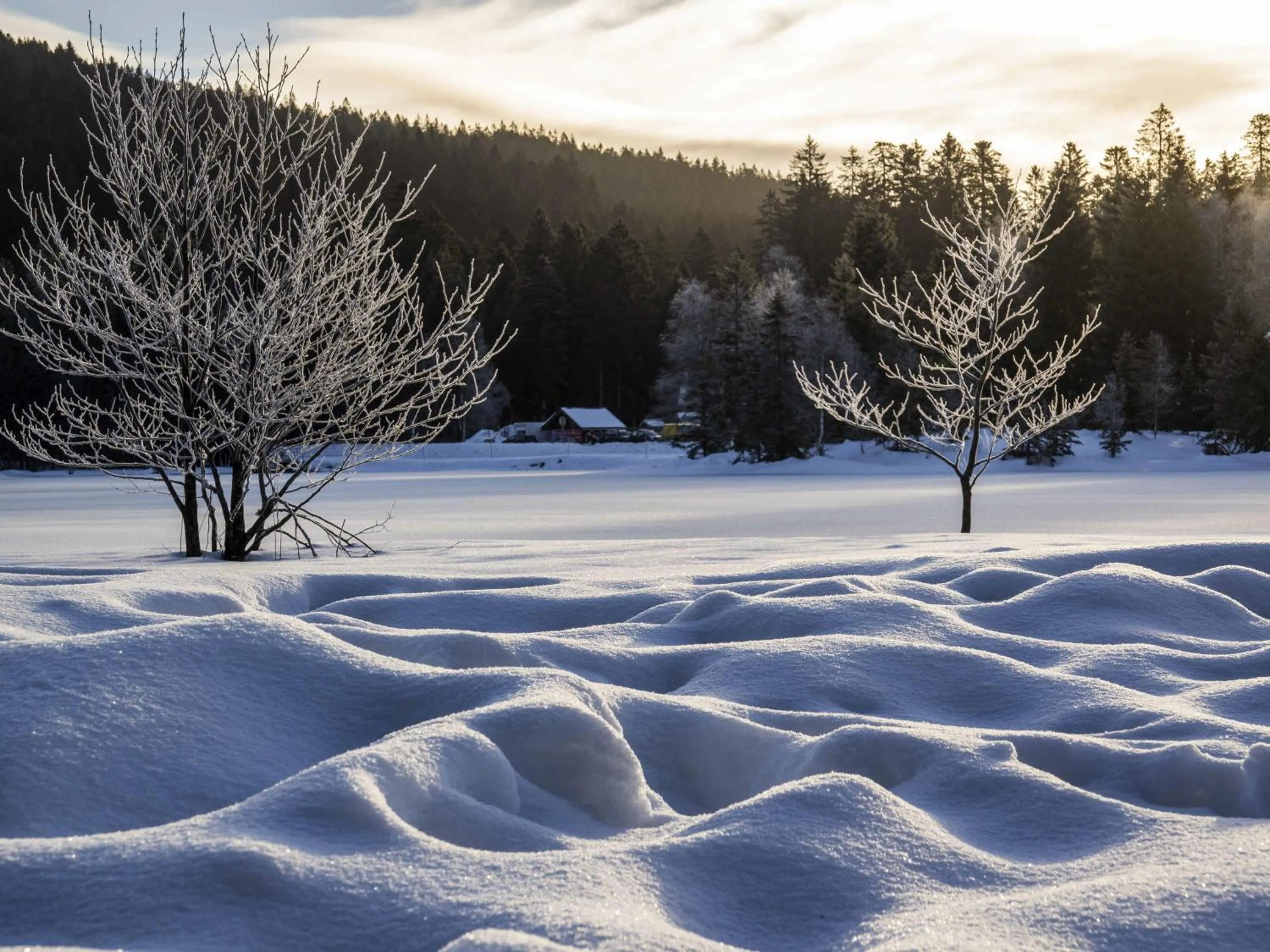 Other in ibis La Bresse Gérardmer