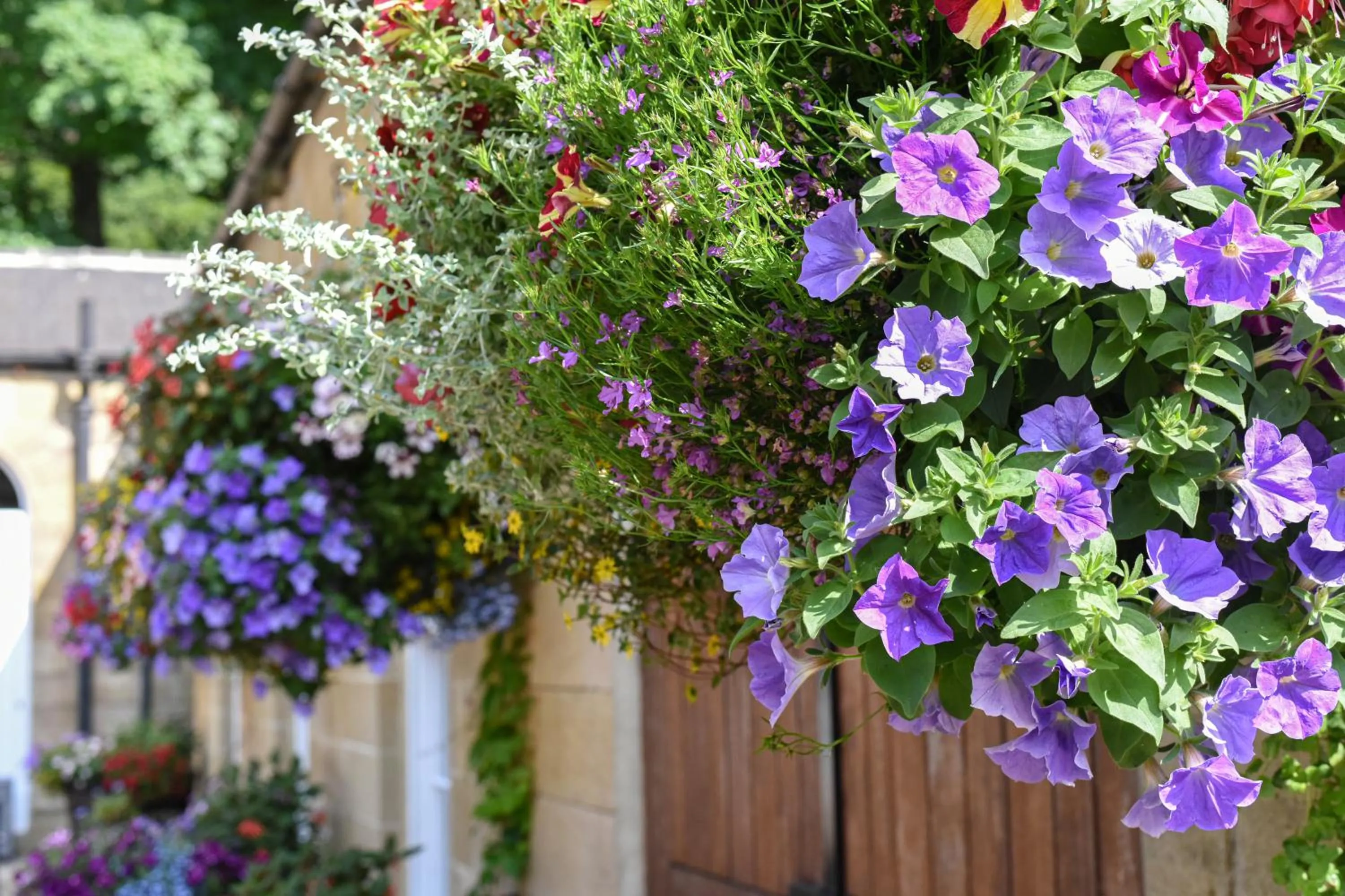 Restaurant/places to eat in Beamish Hall Hotel, BW Premier Collection