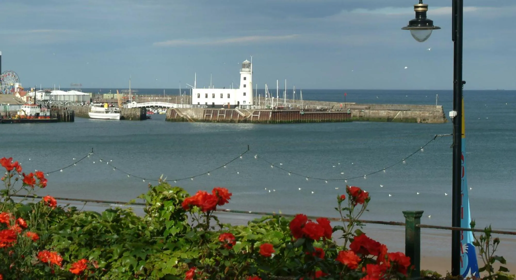 Natural landscape in Mansion House