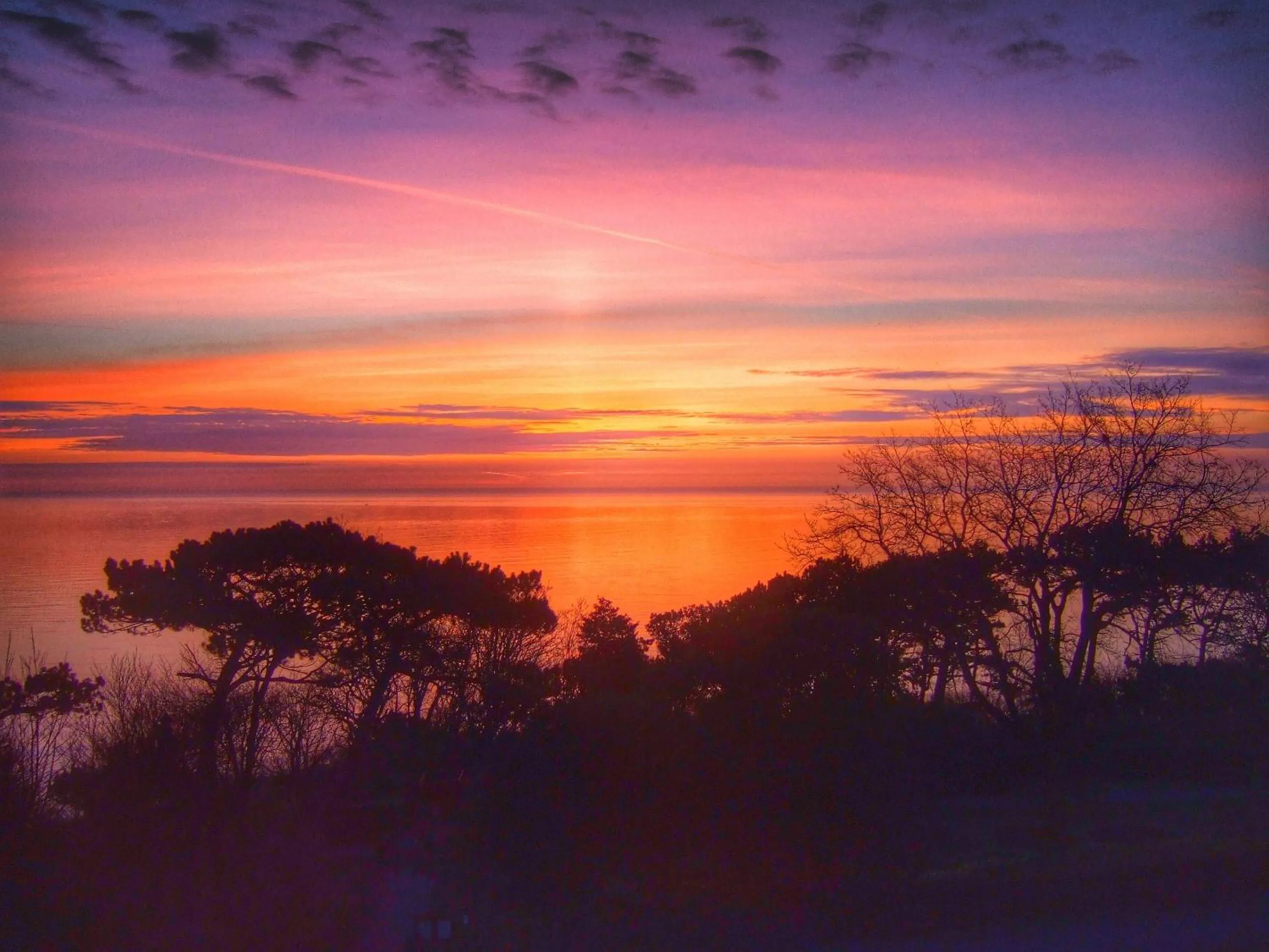 View (from property/room) in Mansion House