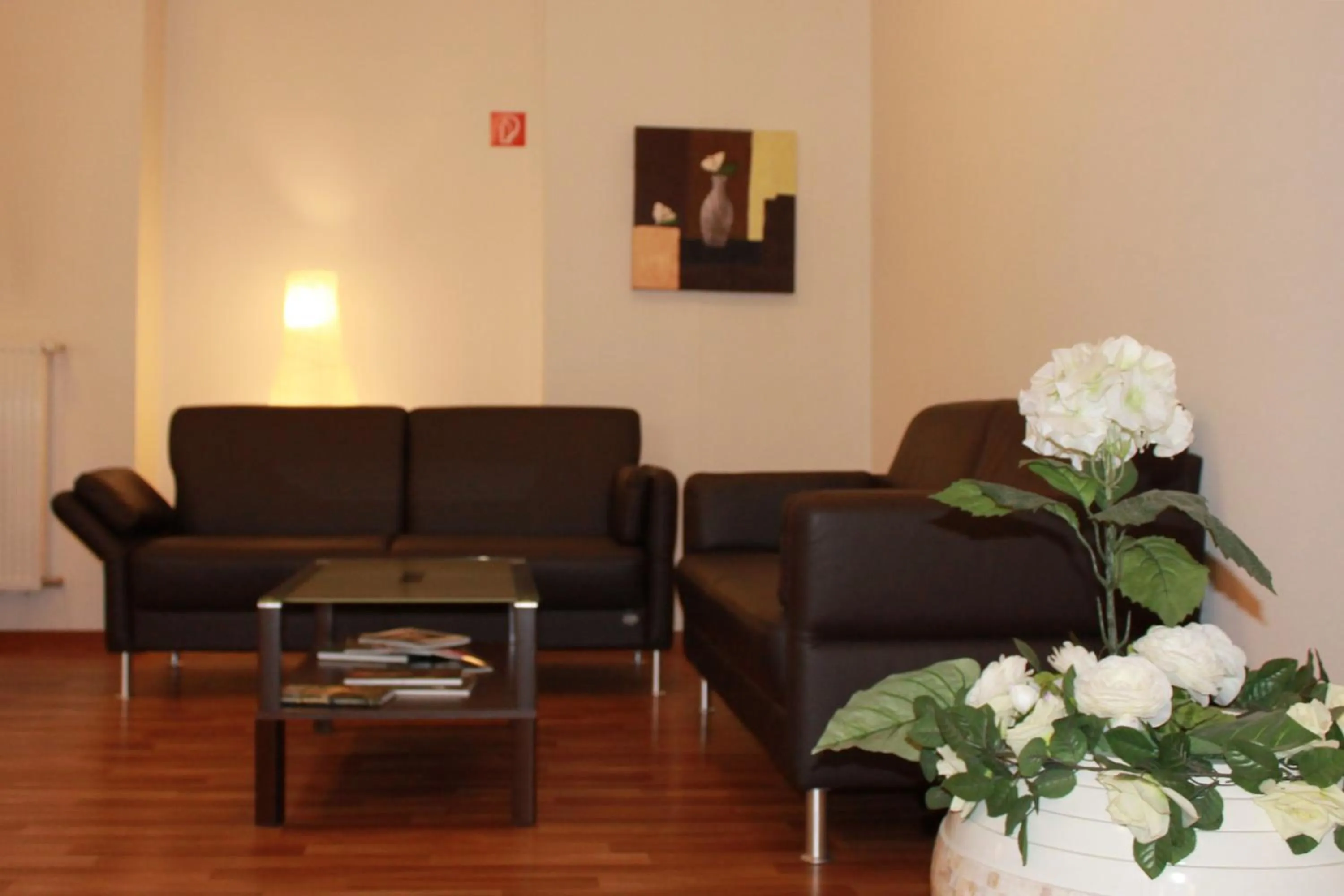 Living room in Aariana Hotel