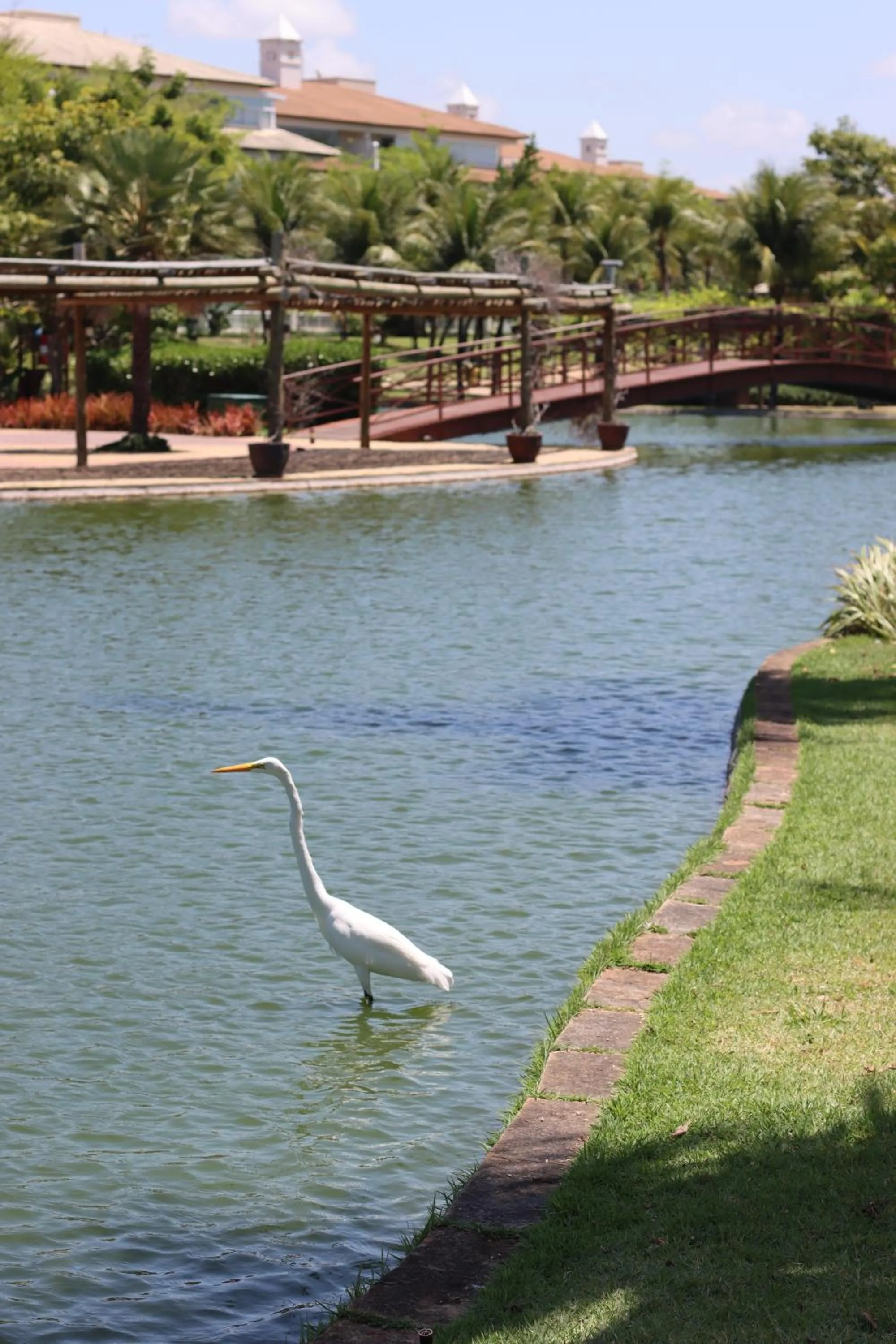 Natural landscape in Golf Ville Resort Brisa do Golf -Apartamentos e Cobertura