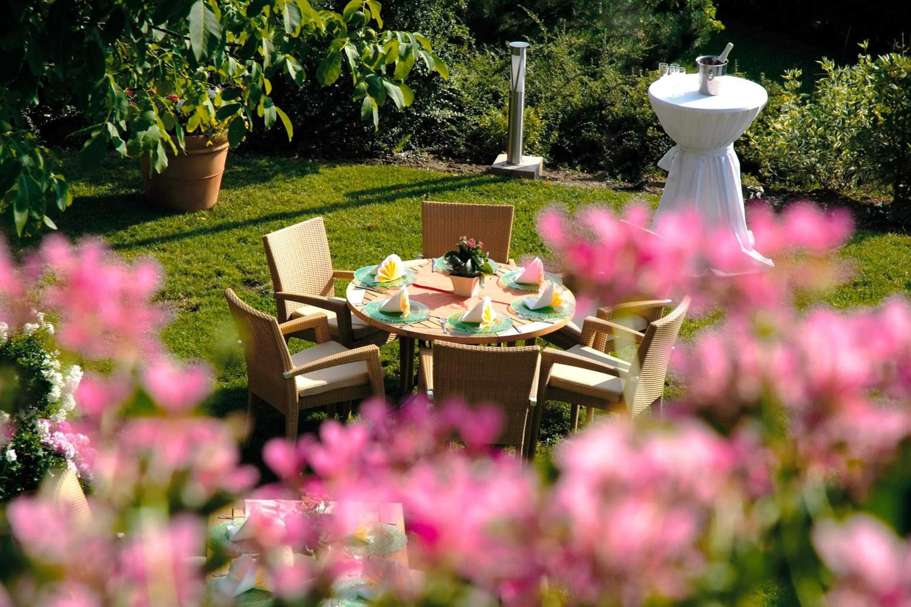 Garden in Hotel-Restaurant Distlerhof