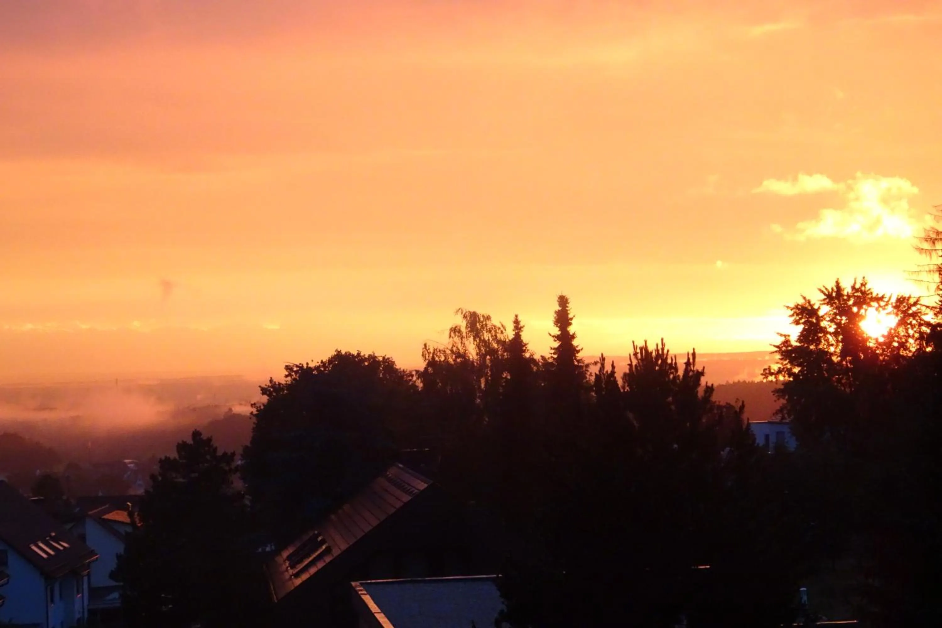 View (from property/room) in Hotel-Restaurant Distlerhof