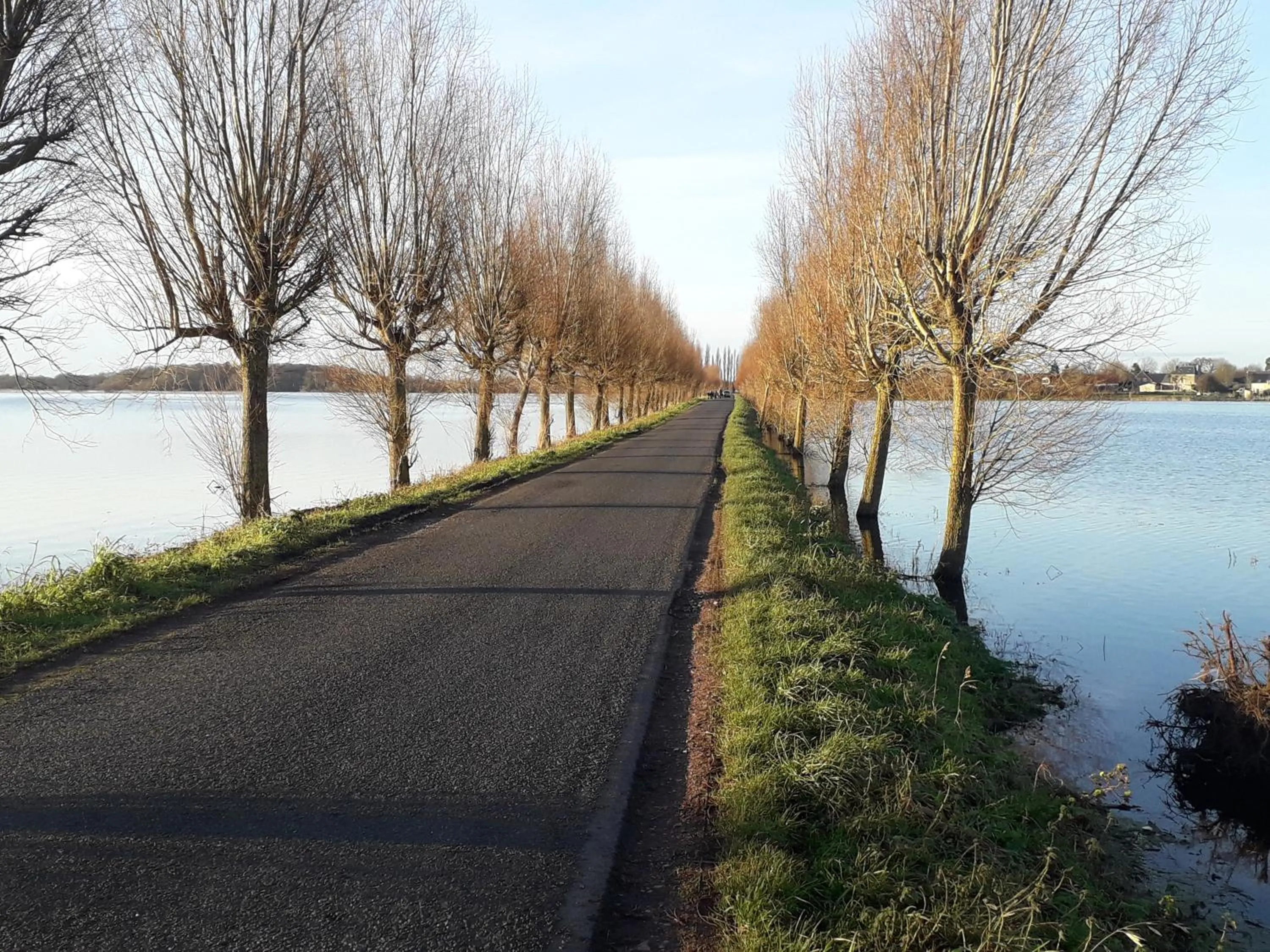 Natural landscape in Gite familial à Carentan