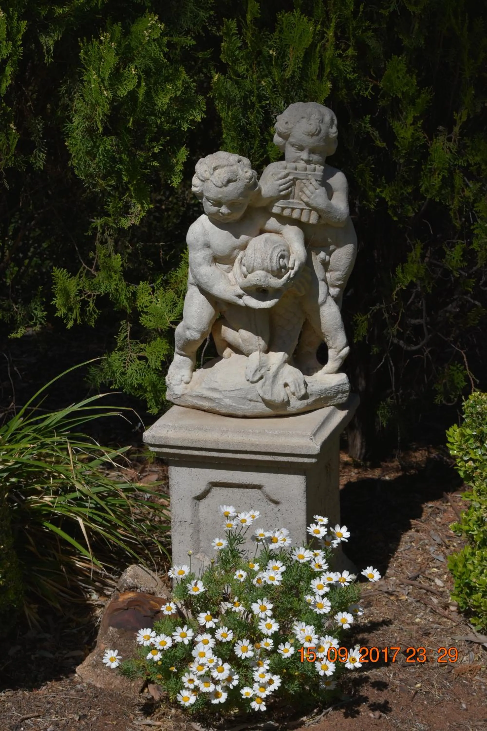 Garden view in Cooee Motel