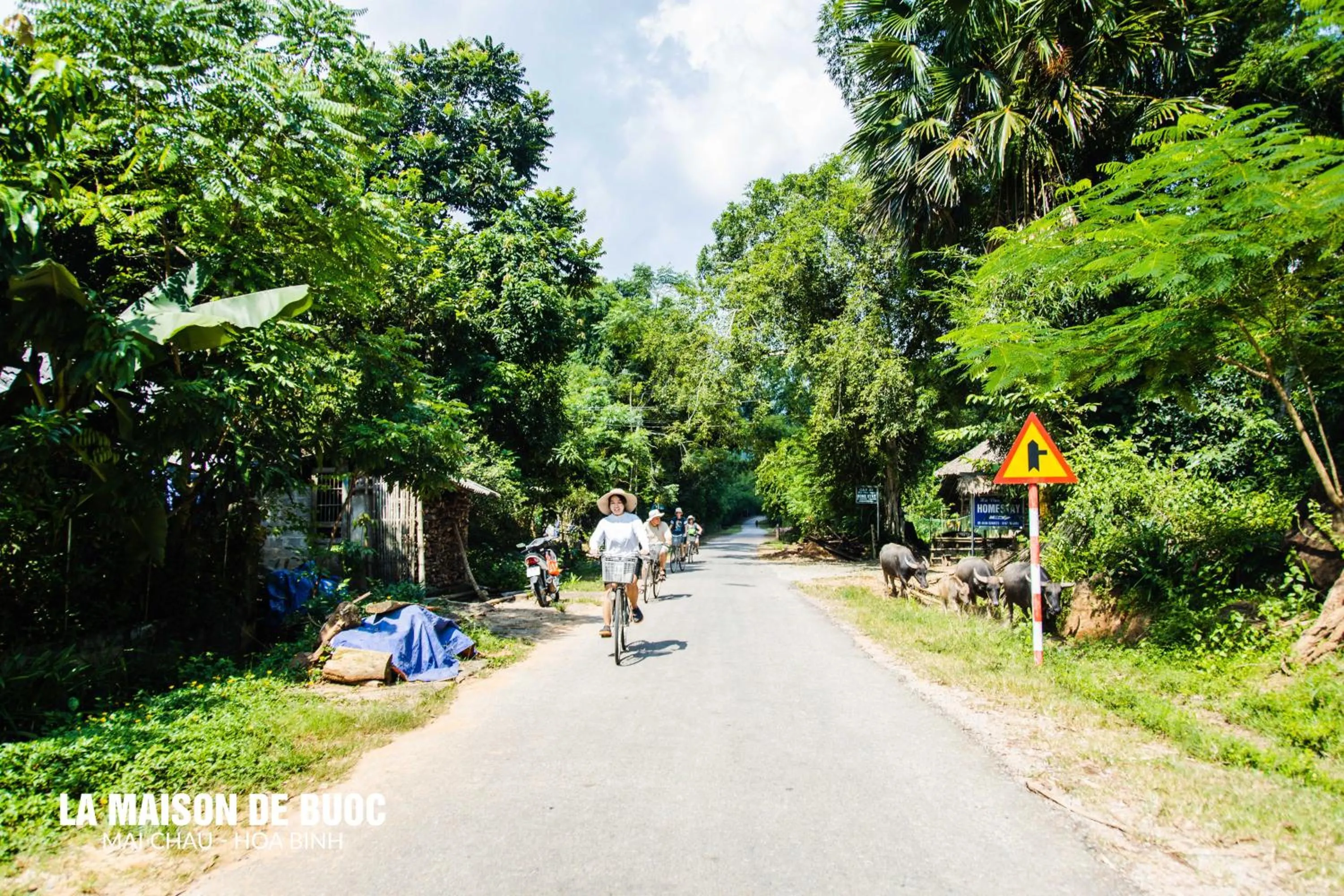 Spring in La Maison De Buoc