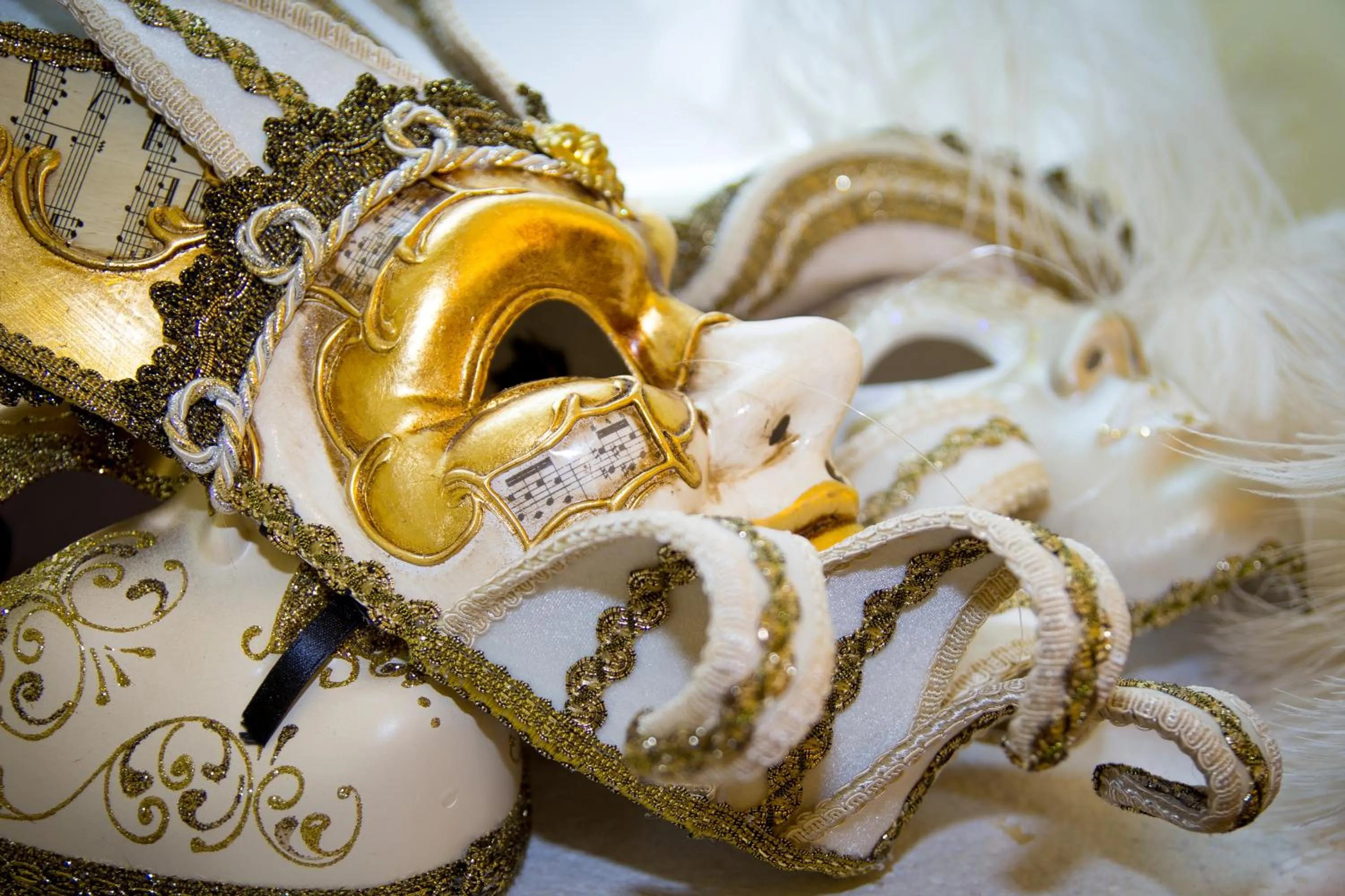 Decorative detail in Palazzo Venezia-Adults Only