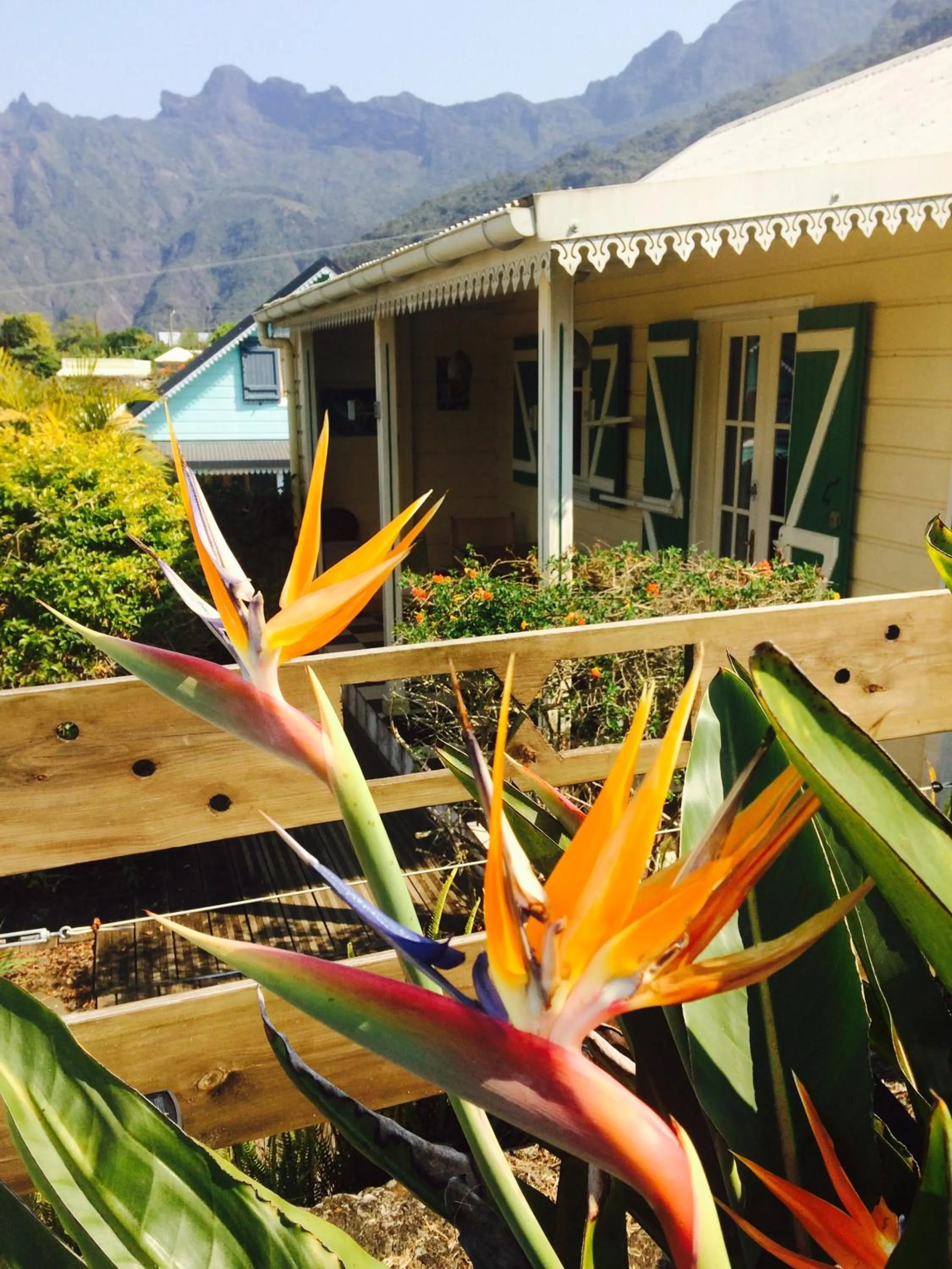 Garden in Case Nyala