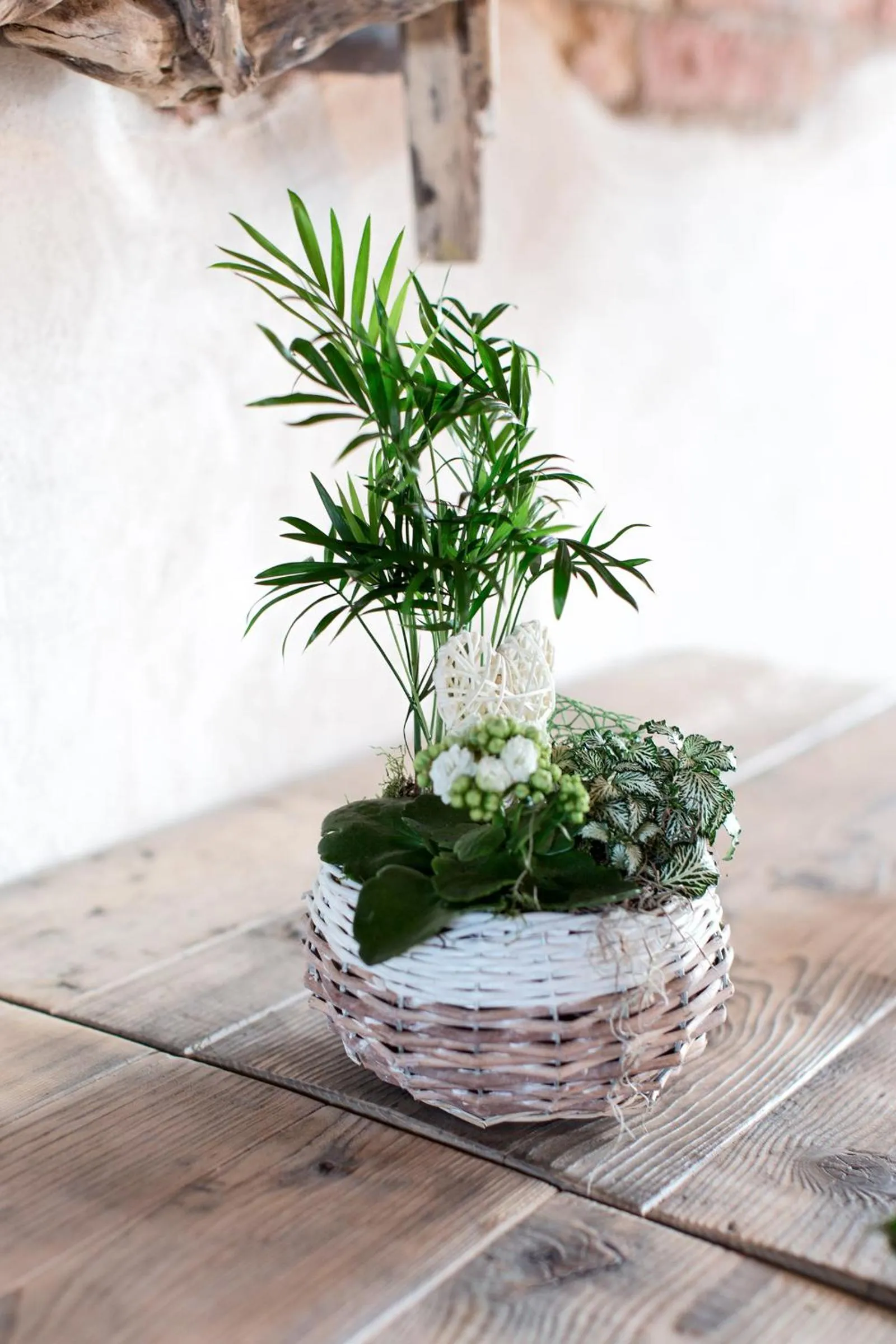 Property building in Ca' Ciaran