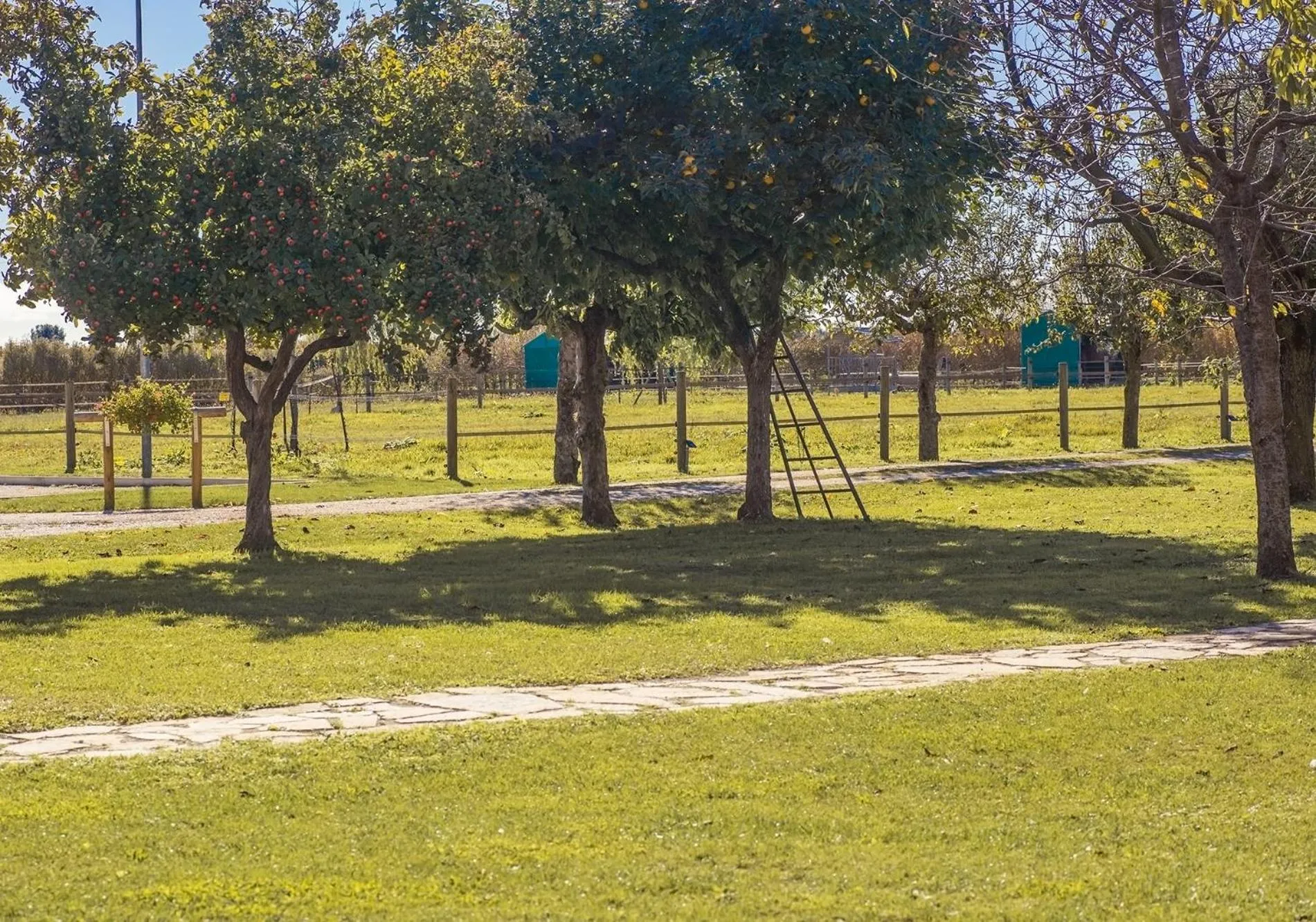 Inner courtyard view in Ca' Ciaran