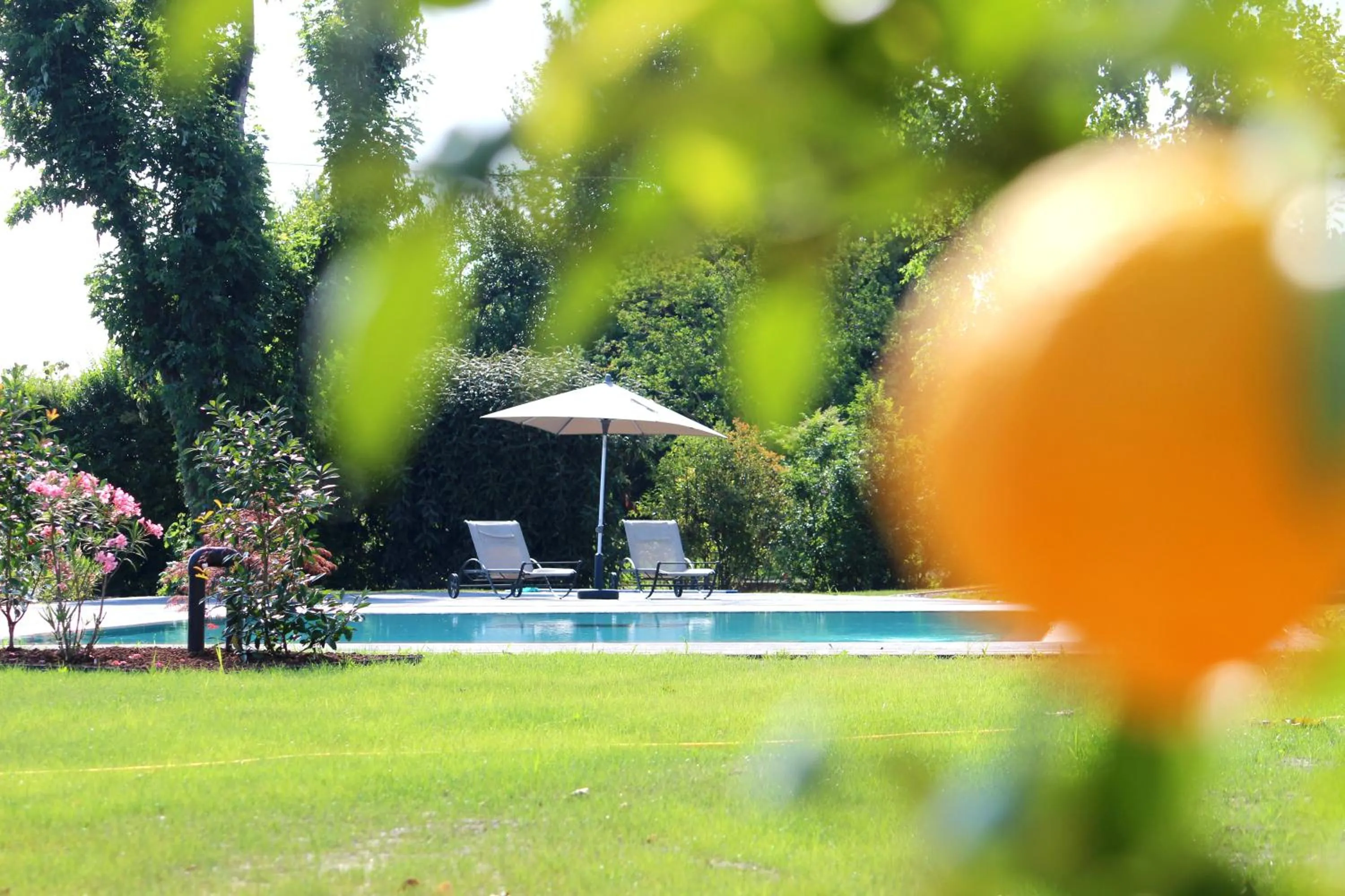 Garden in Ca' Ciaran