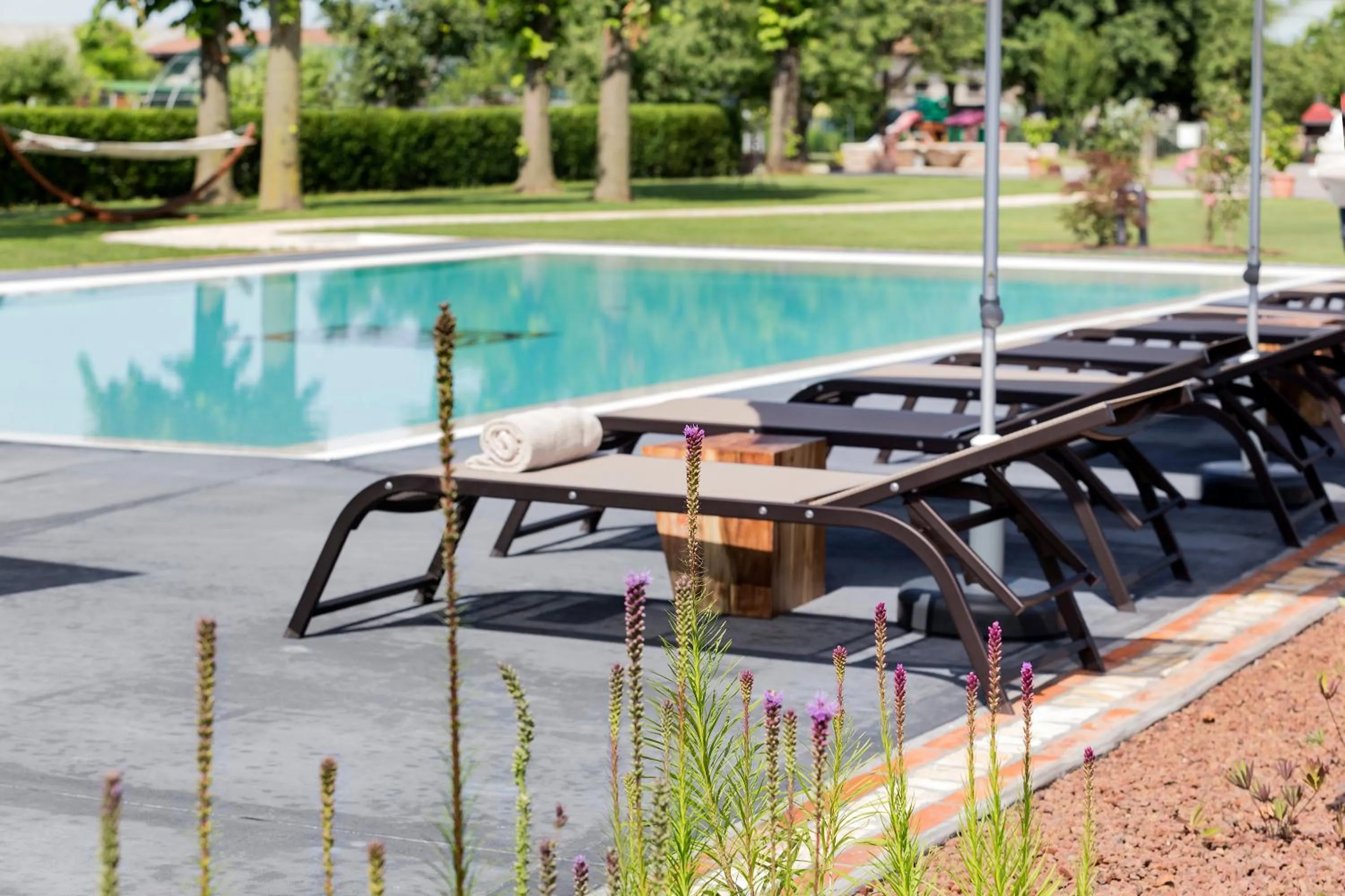 Swimming pool in Ca' Ciaran