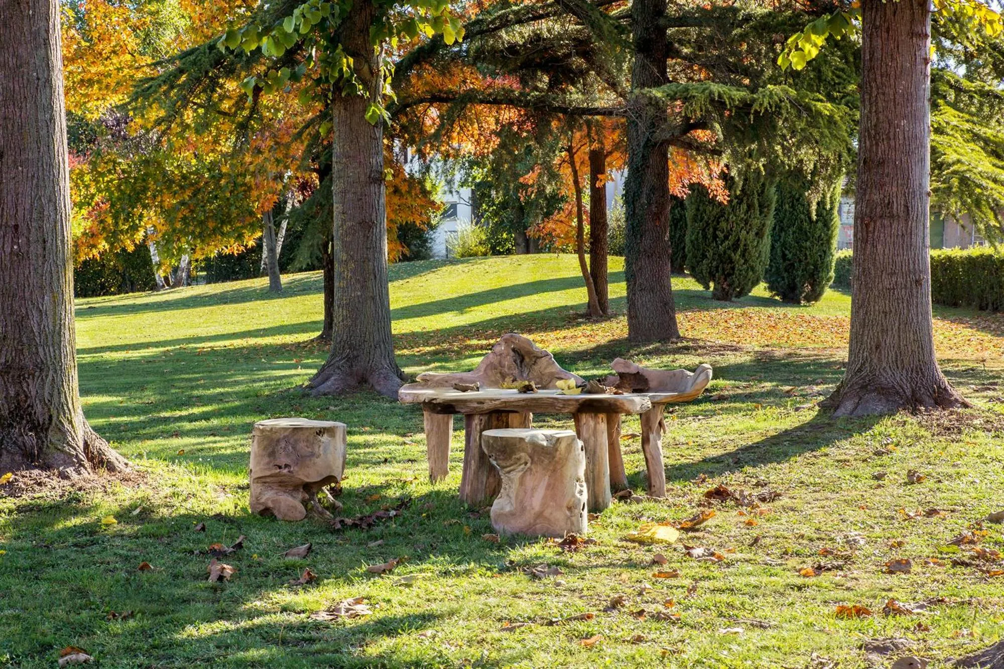 View (from property/room) in Ca' Ciaran